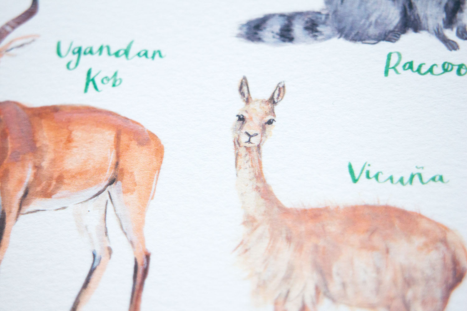 A4 A to Z of Wild Animals Art Print