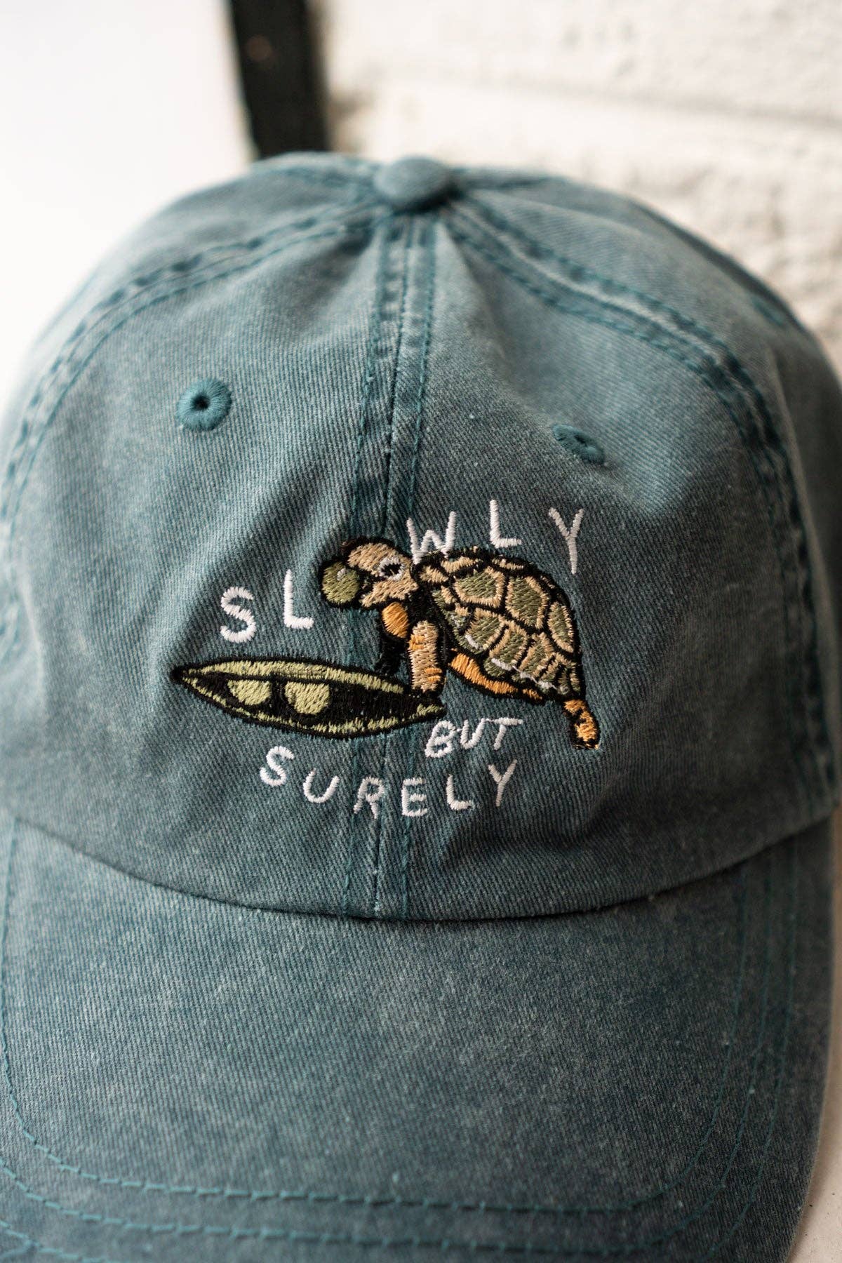 Slowly Turtle Hat