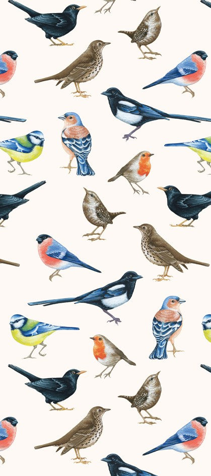 British Birds Tissue Paper