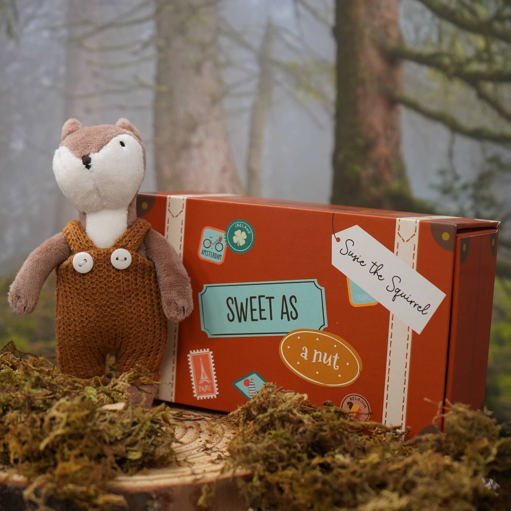 Wild Wanderers 'Susie The Squirrel' Matchbox Toy