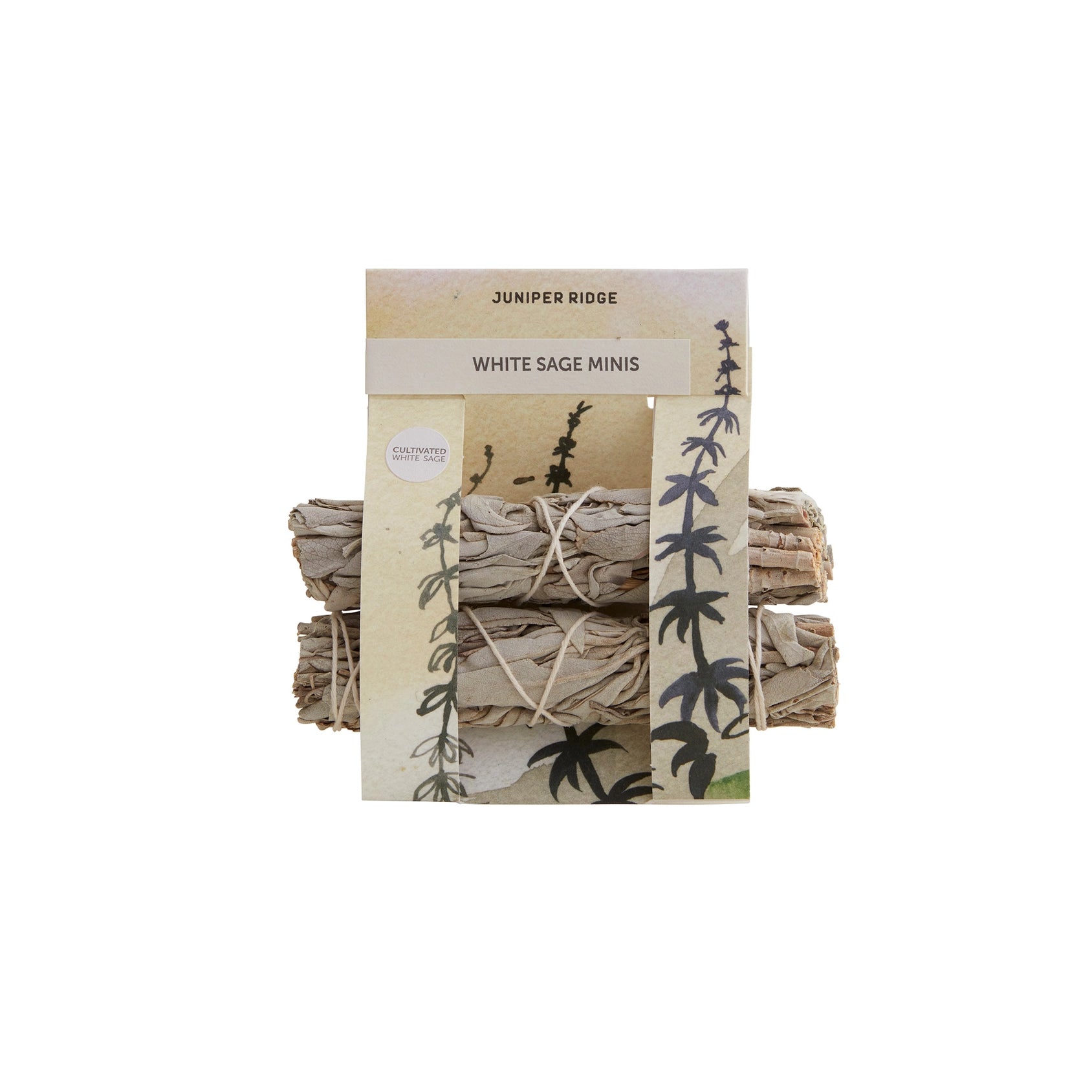 White Sage Minis