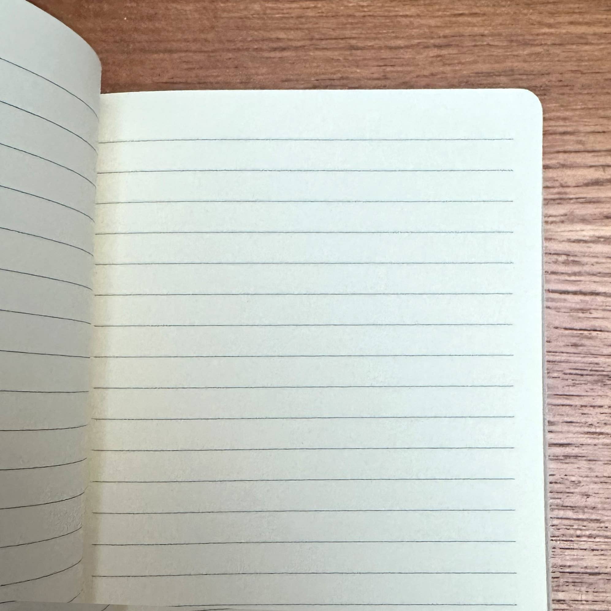 Kate Heiss Evening Primrose Notebook