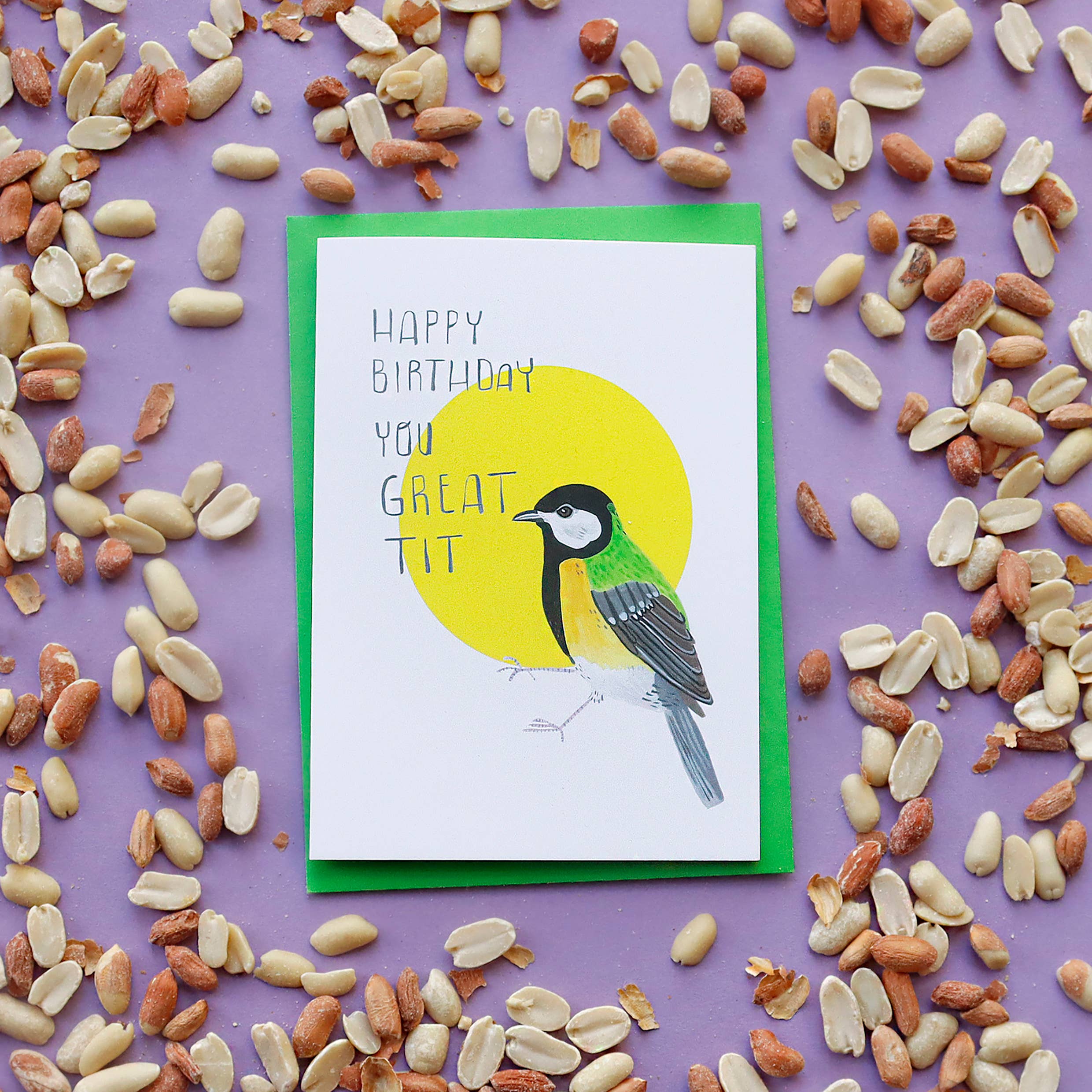 Happy Birthday You great Tit - Funny A6 Greeting Card