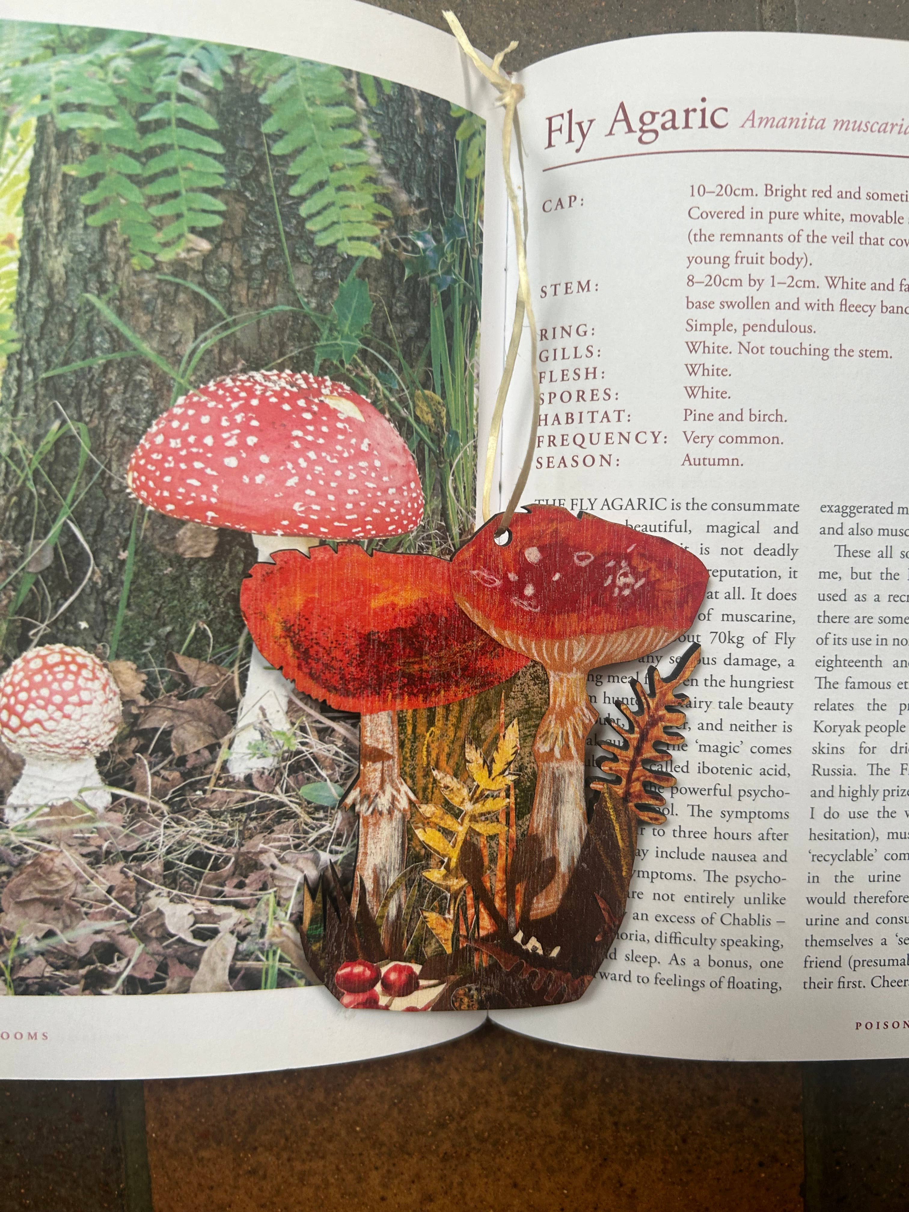 Toadstools Birch Plywood Decoration 