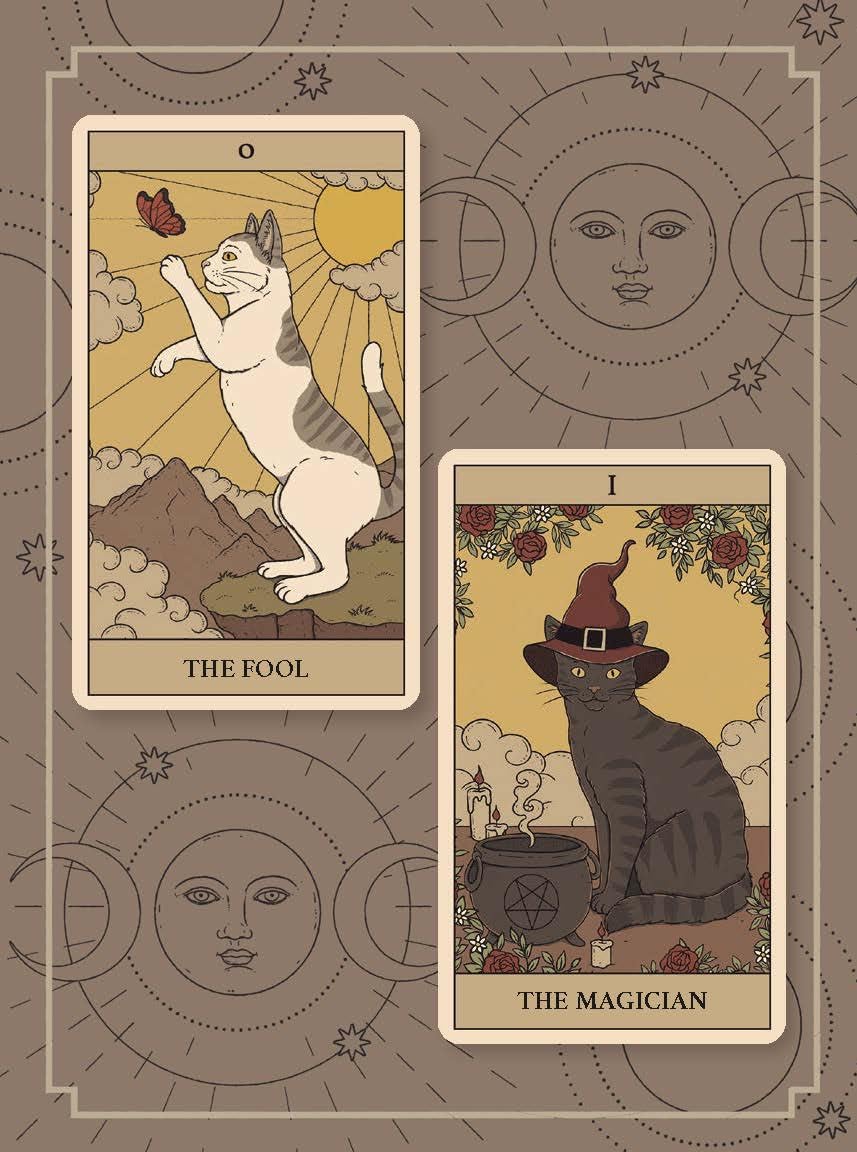 Cats Rule The Earth Tarot : 78-Card Deck & Guidebook