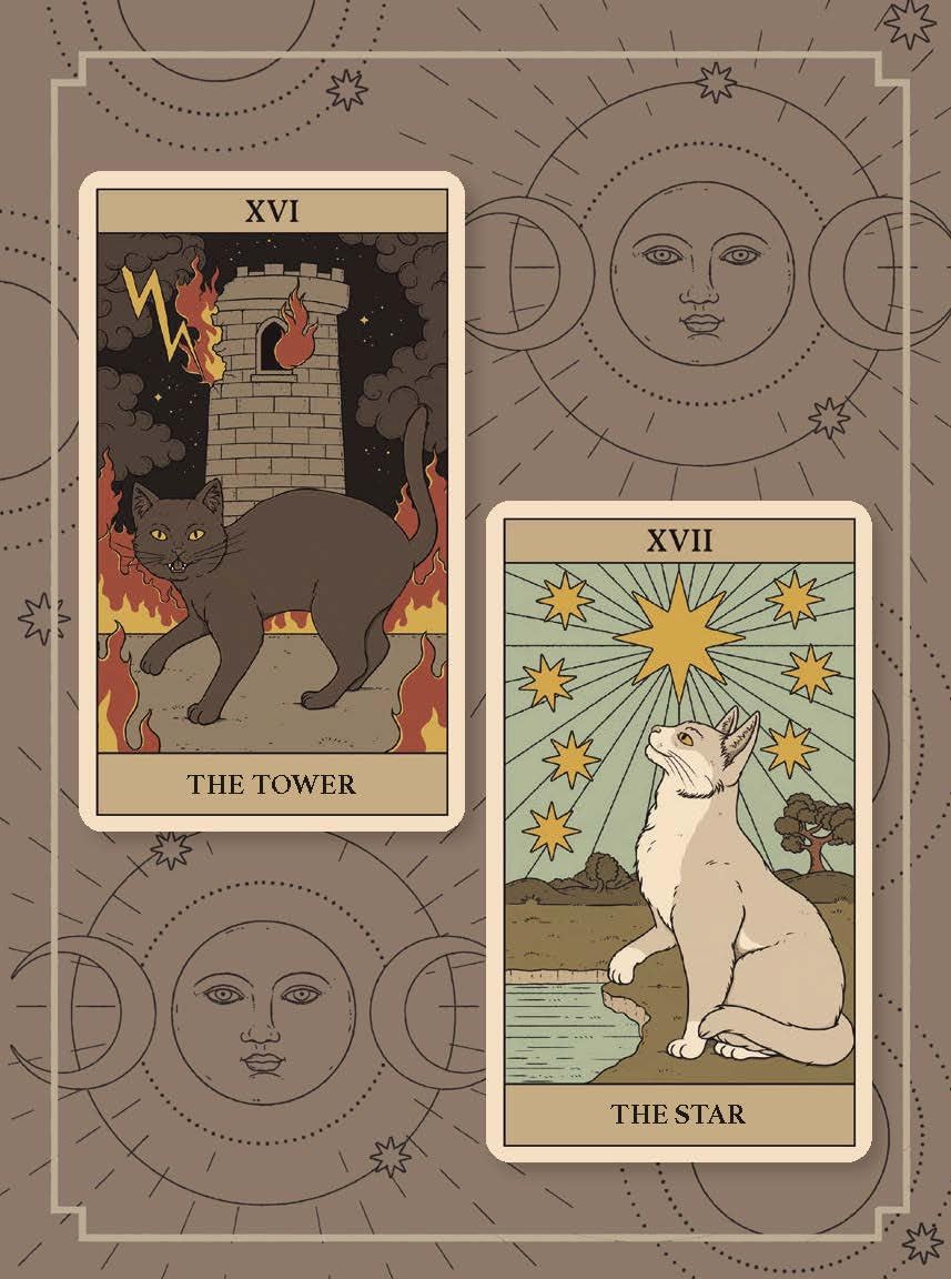 Cats Rule The Earth Tarot : 78-Card Deck & Guidebook