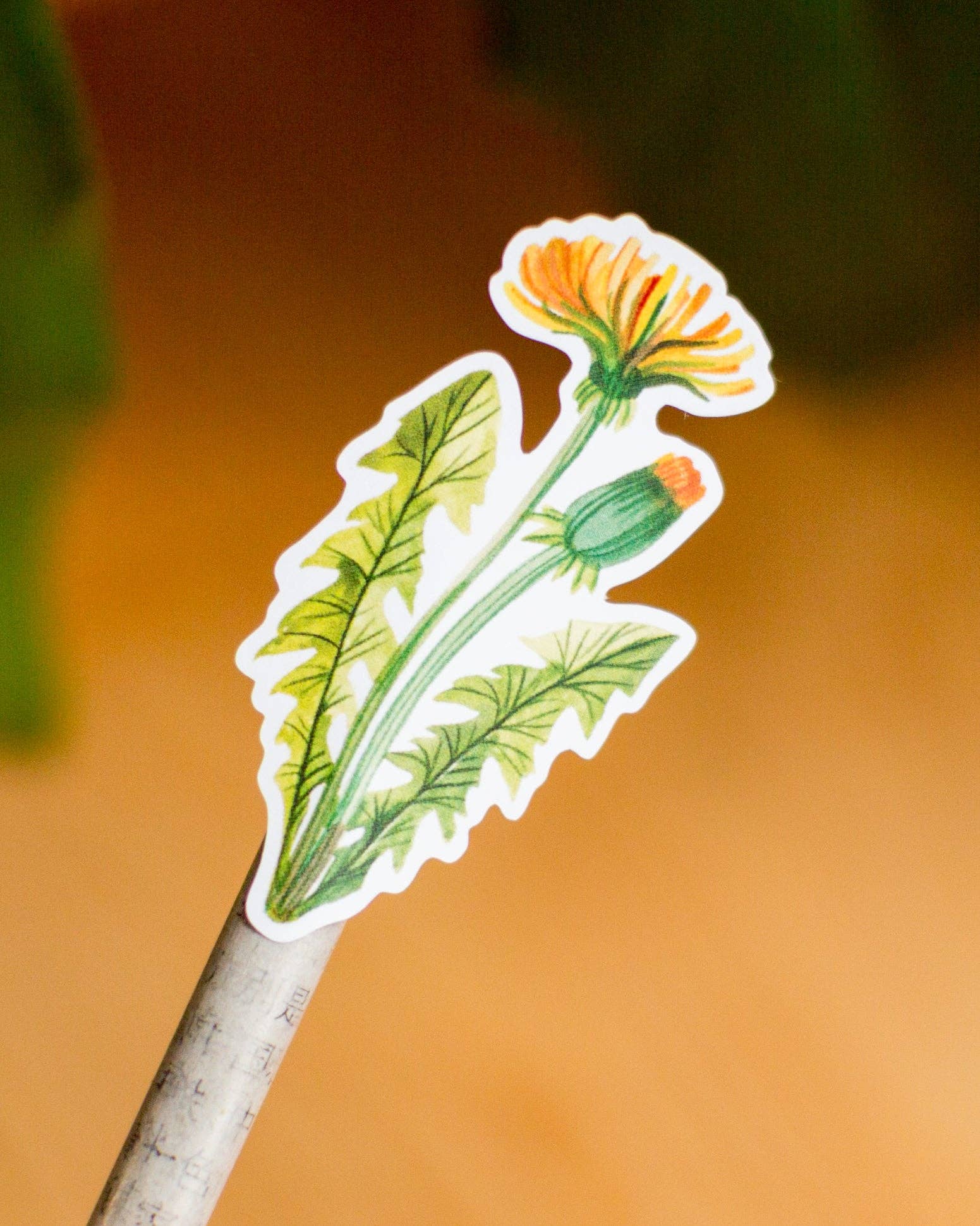 Dandelions Sticker Sheet