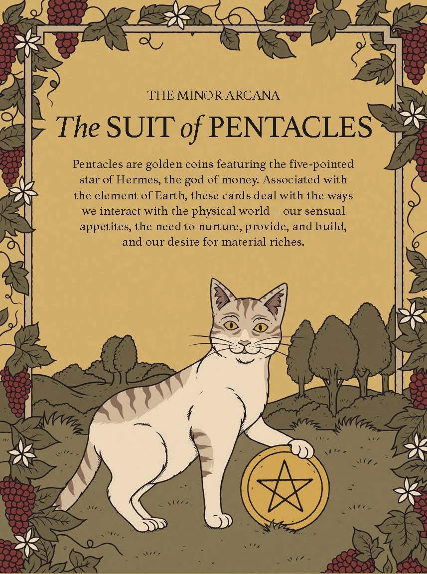 Cats Rule The Earth Tarot : 78-Card Deck & Guidebook