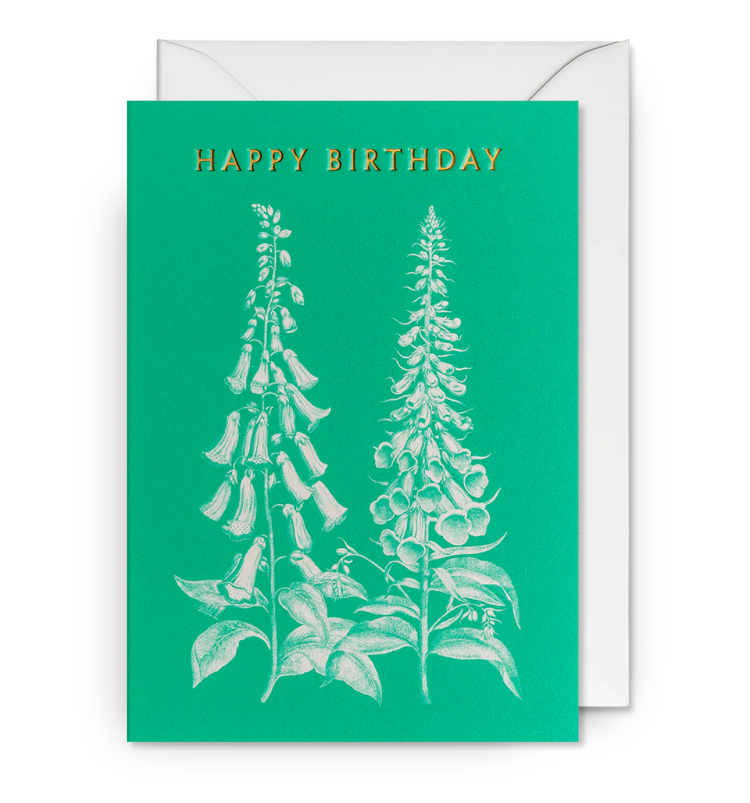 Rubro Albo Foxgloves Birthday Card