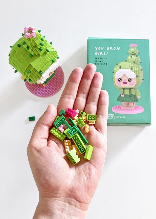 You Grow Girl Mini Brick Kit