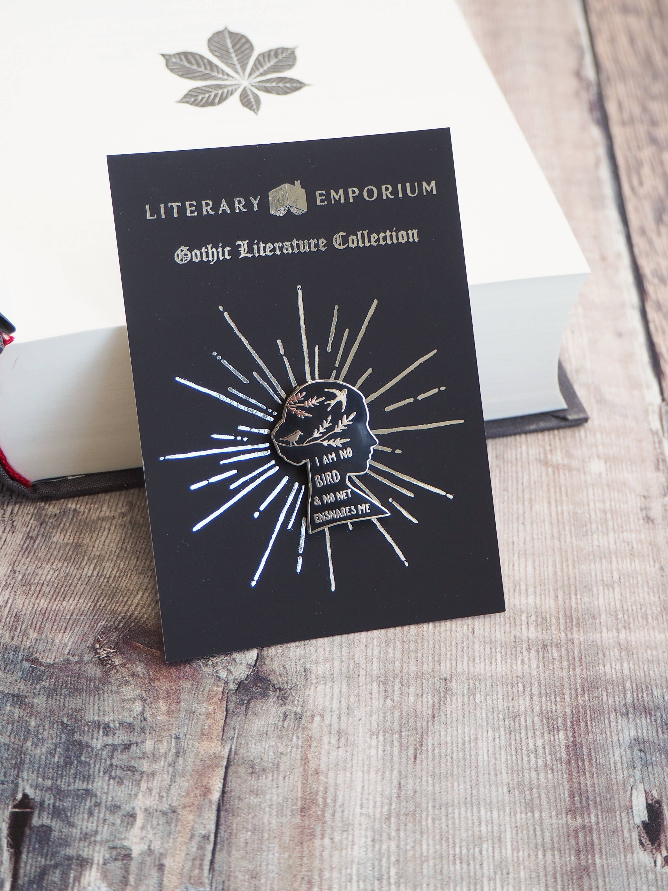 Jane Eyre Bronte Pin Badge