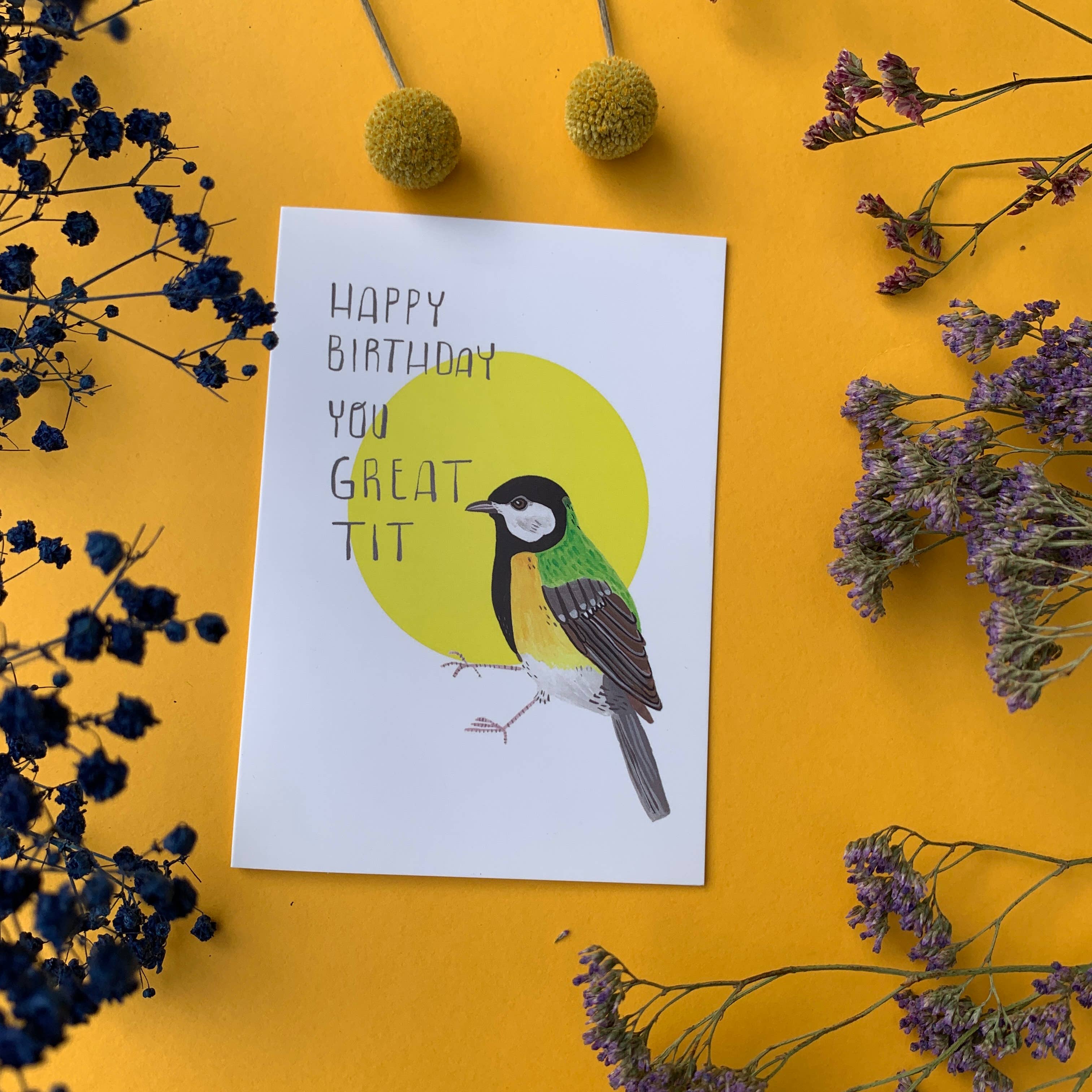 Happy Birthday You great Tit - Funny A6 Greeting Card