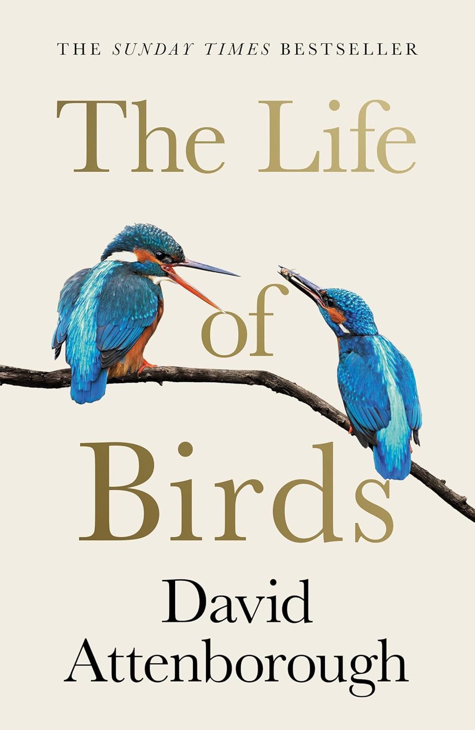 Life Of Birds