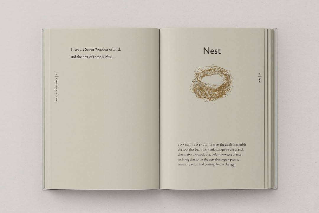 Book Of Birds: A Field Guide To Wonder & Loss