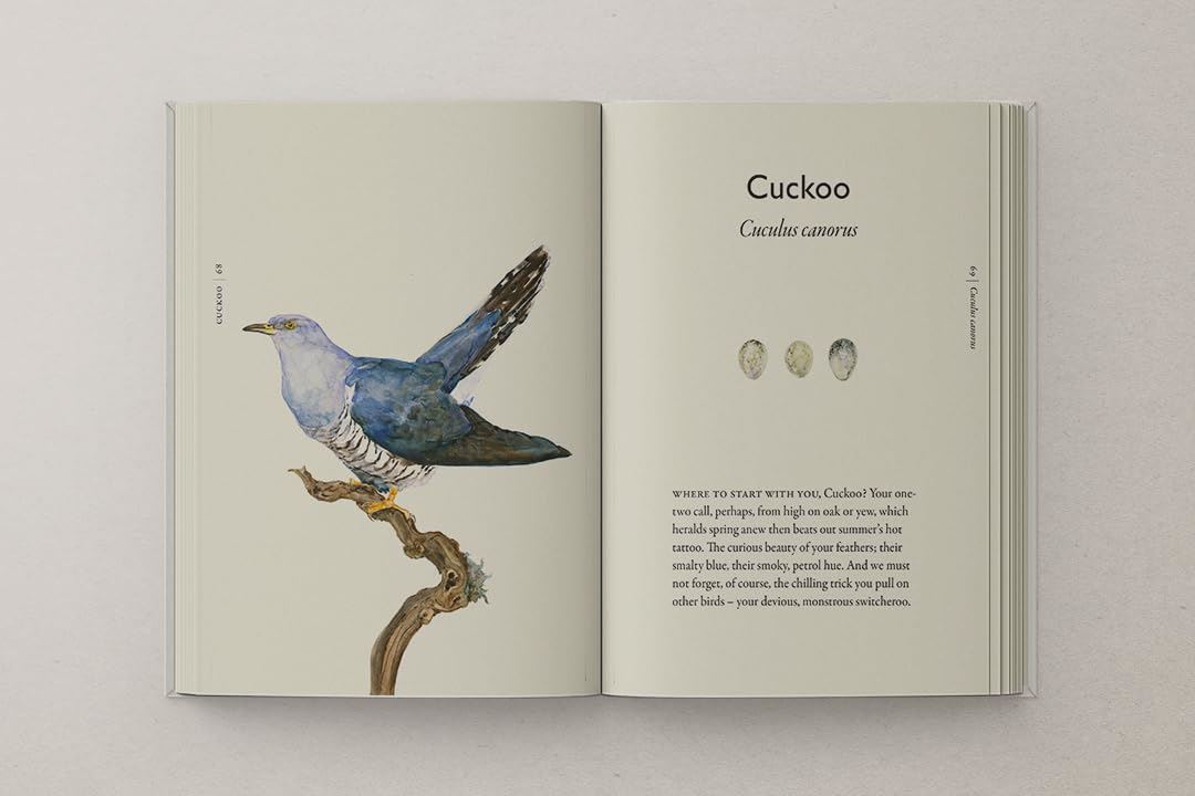 Book Of Birds: A Field Guide To Wonder & Loss
