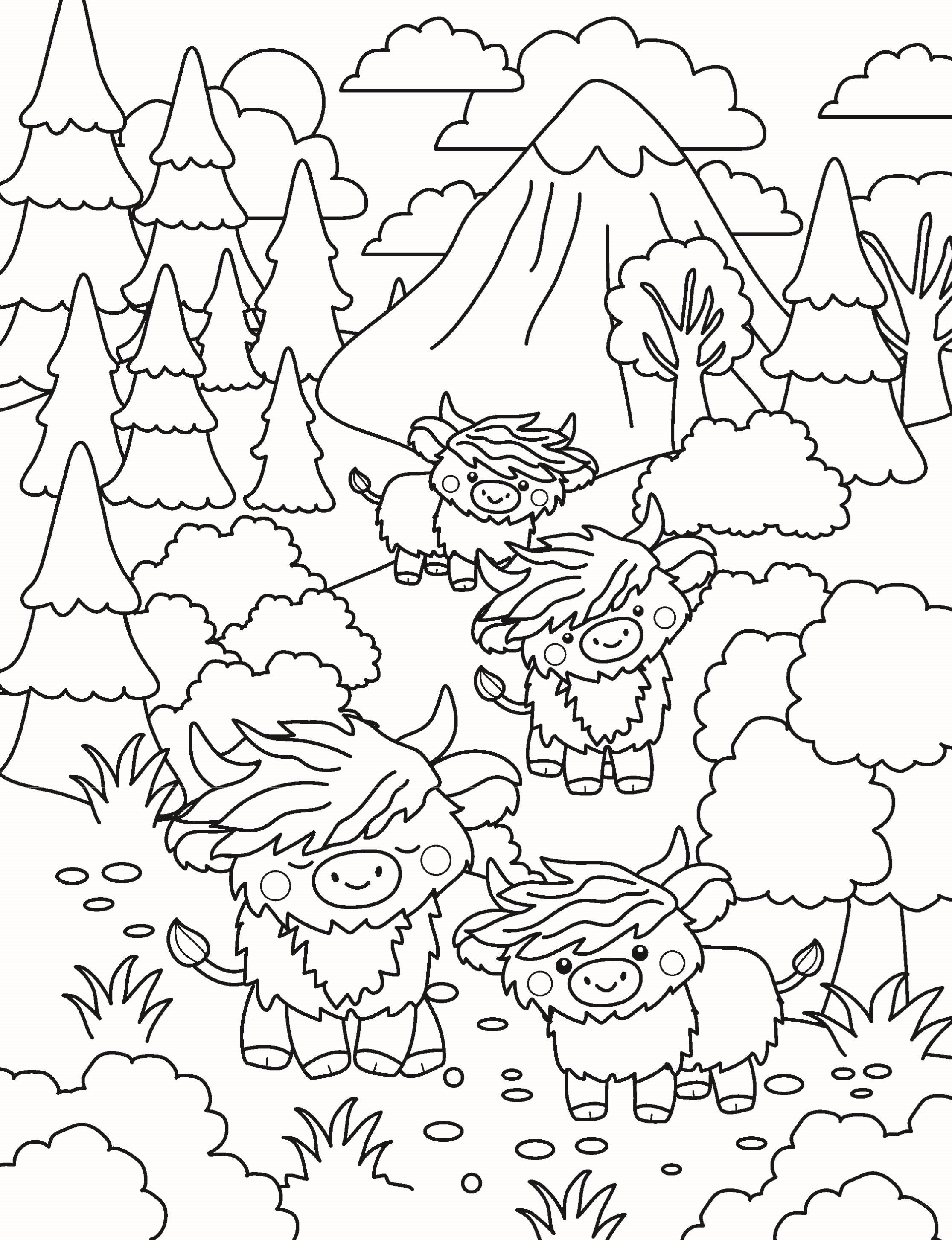 Highland Cow Cuties Colouring Book