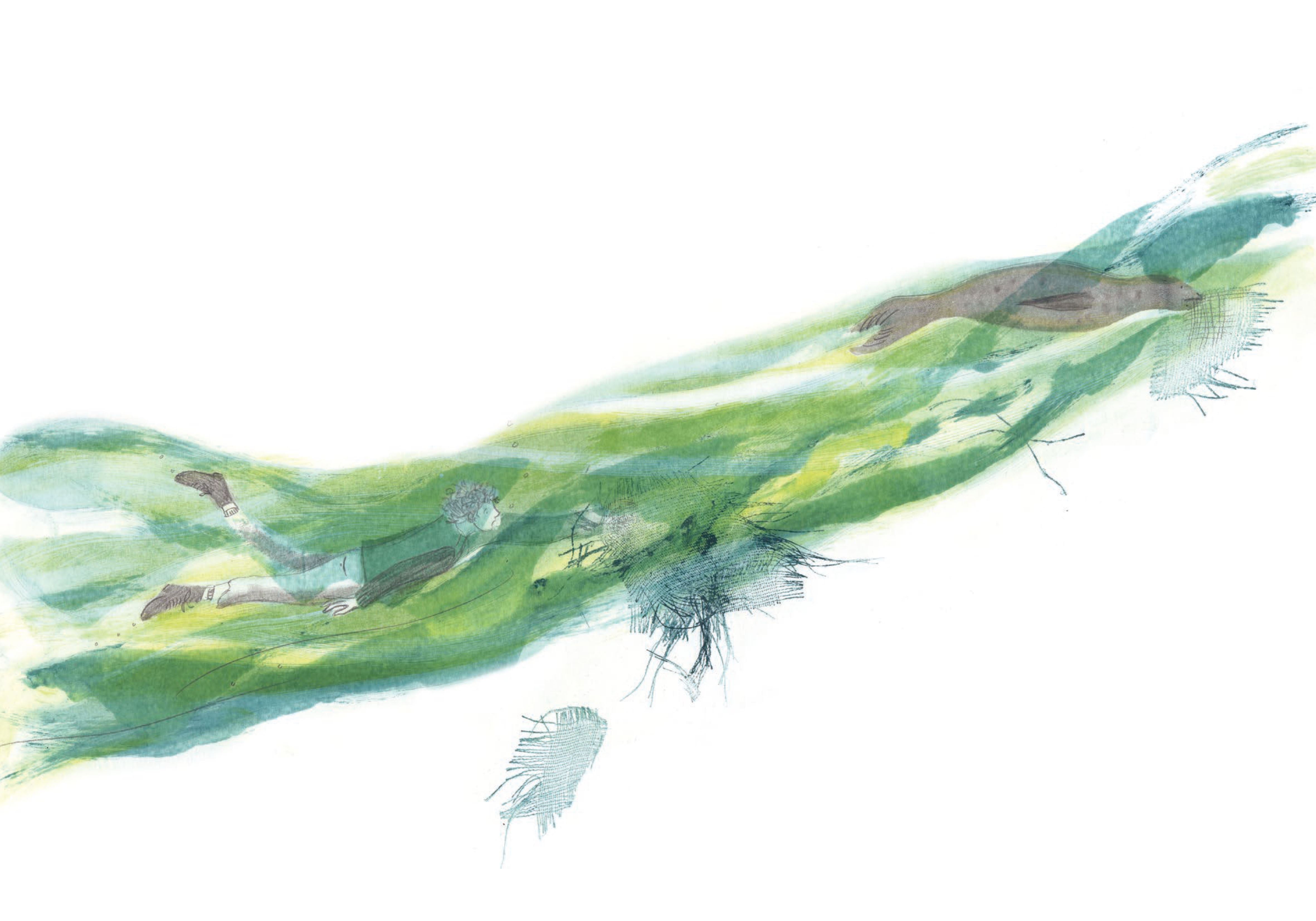 Selkie