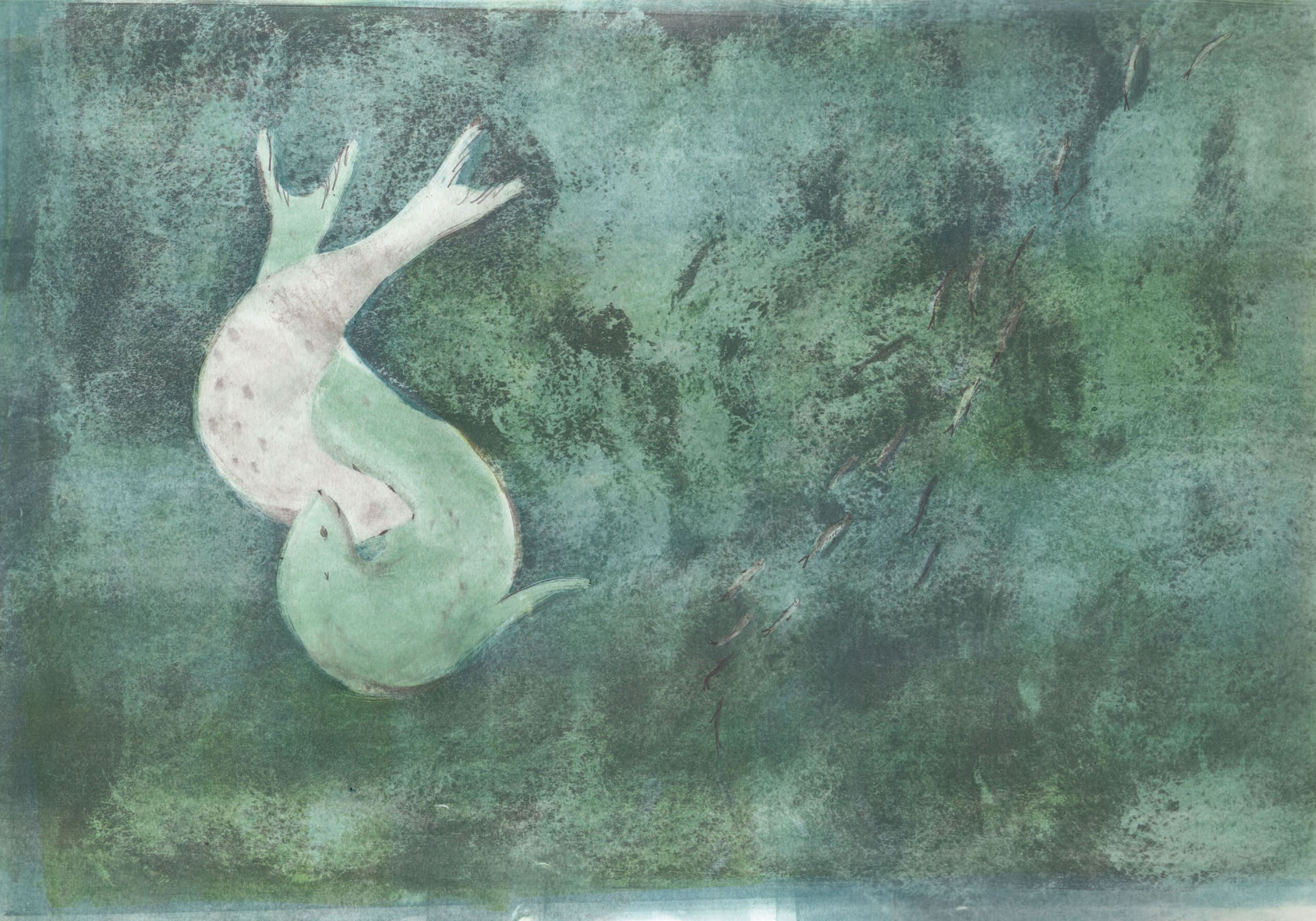 Selkie