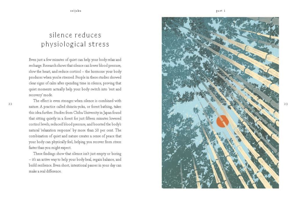 Seijaku: The Japanese Secret To Finding Stillness