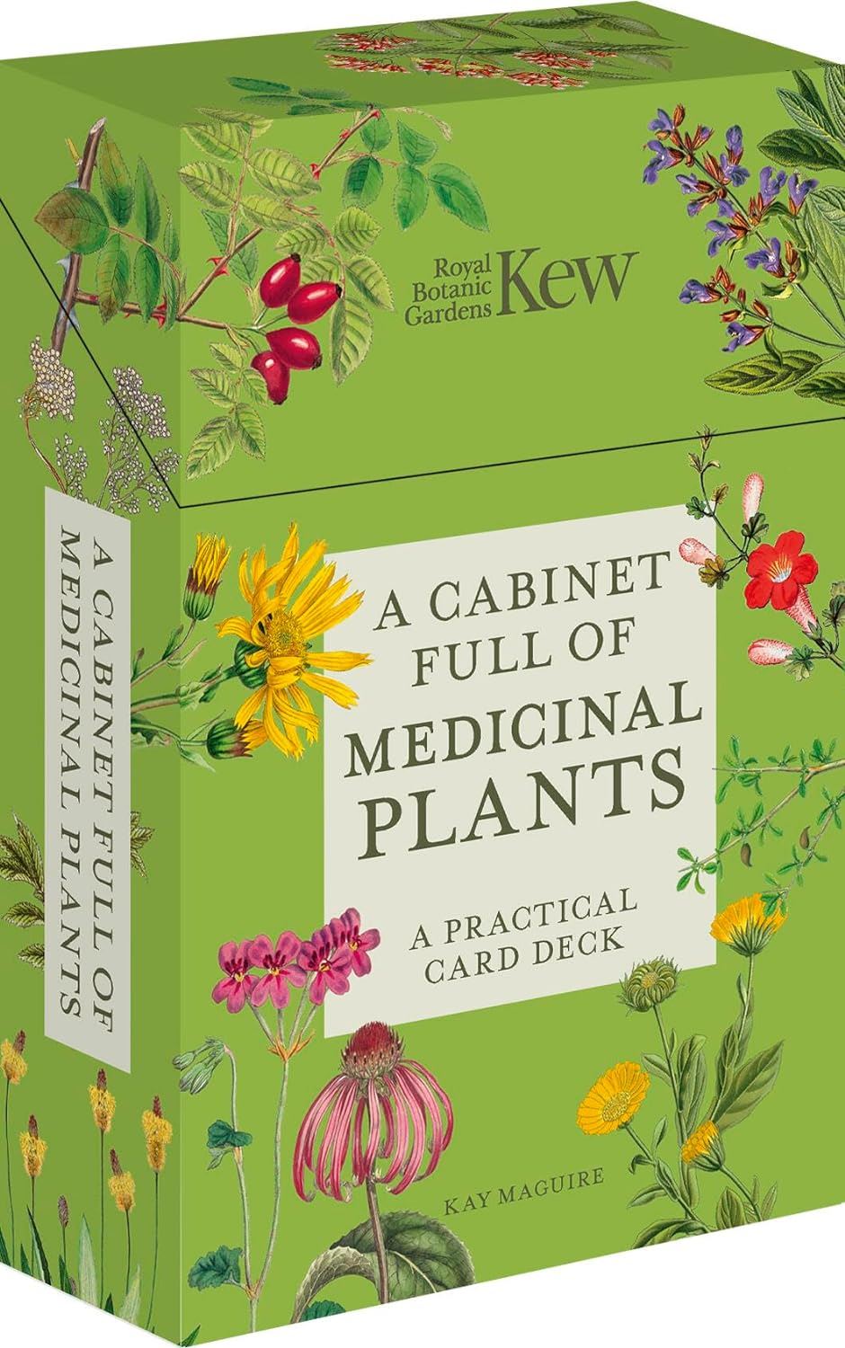 A Cabinet Full Of Medicinal Plants