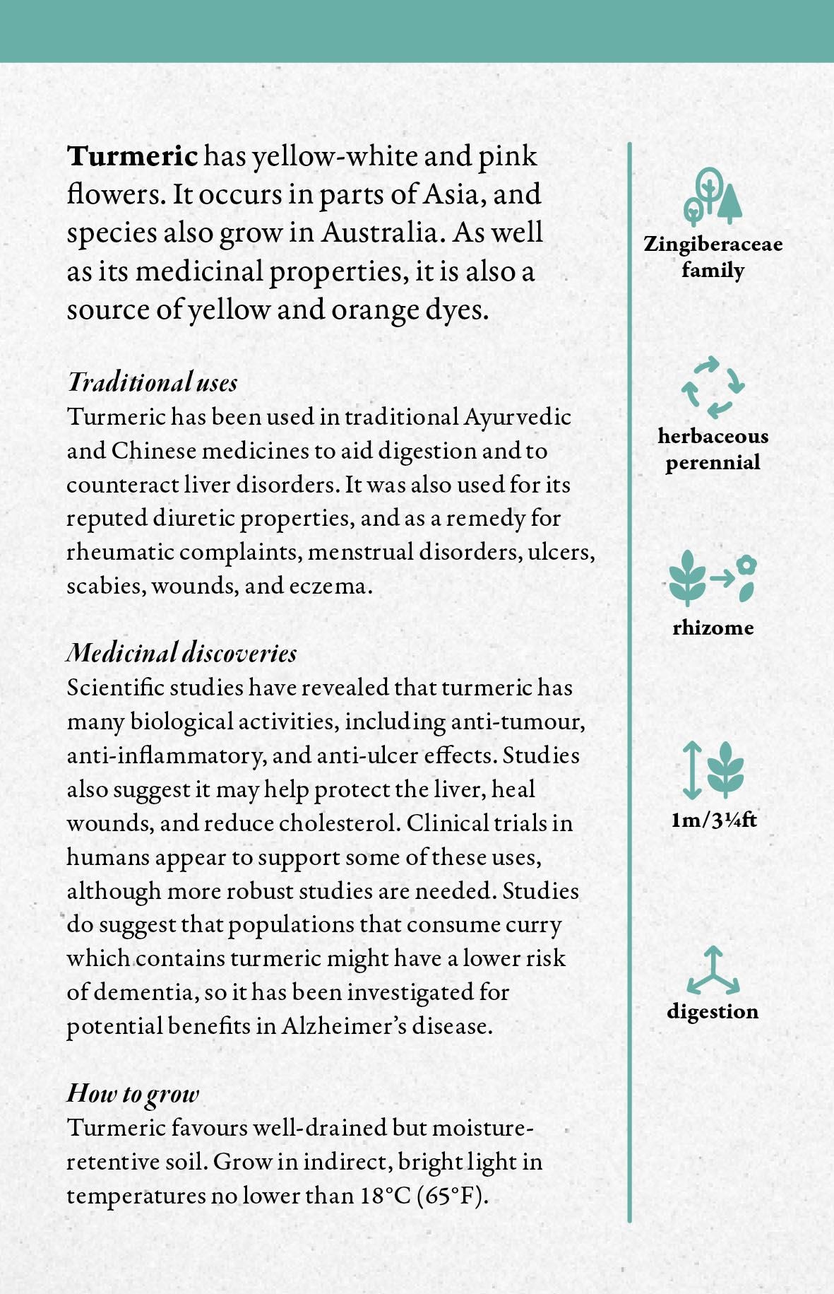 A Cabinet Full Of Medicinal Plants