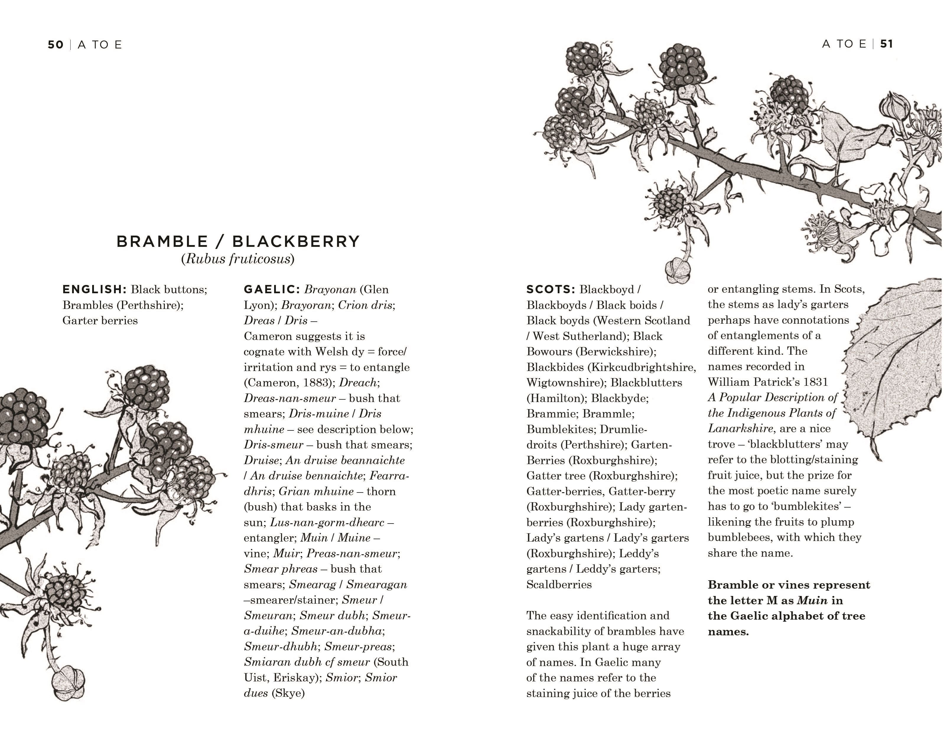 Scottish Plant Names: An A-Z