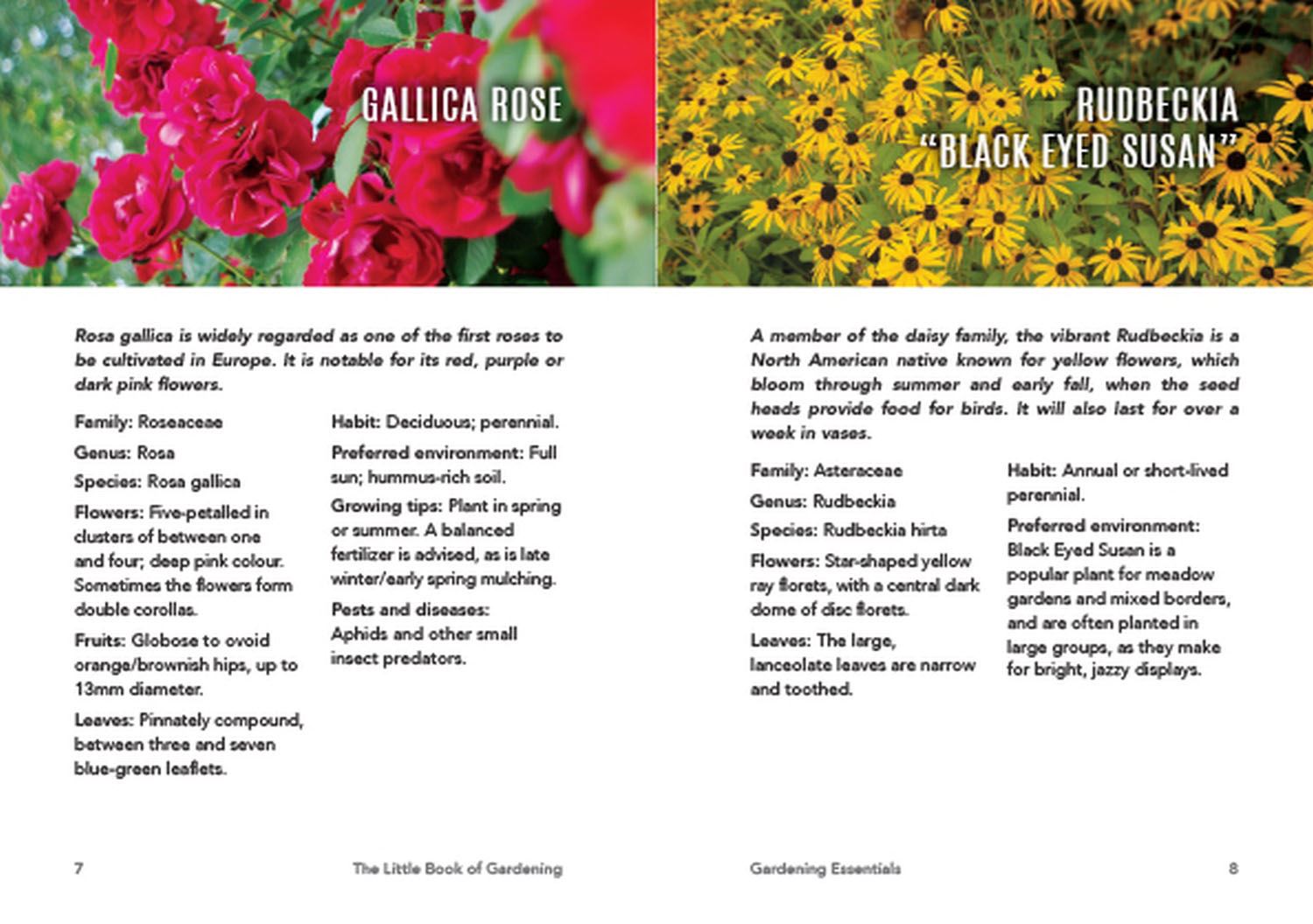 Little Book Of Gardening