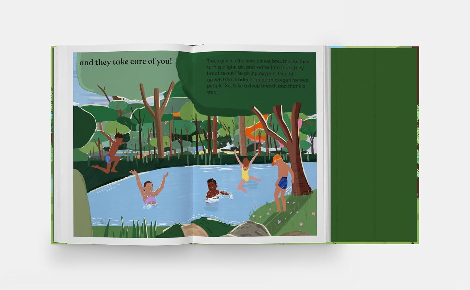 A Family Of Trees - My First Book Of Forests