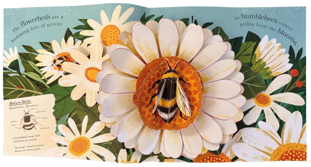 Nature Pop Ups Minibeasts