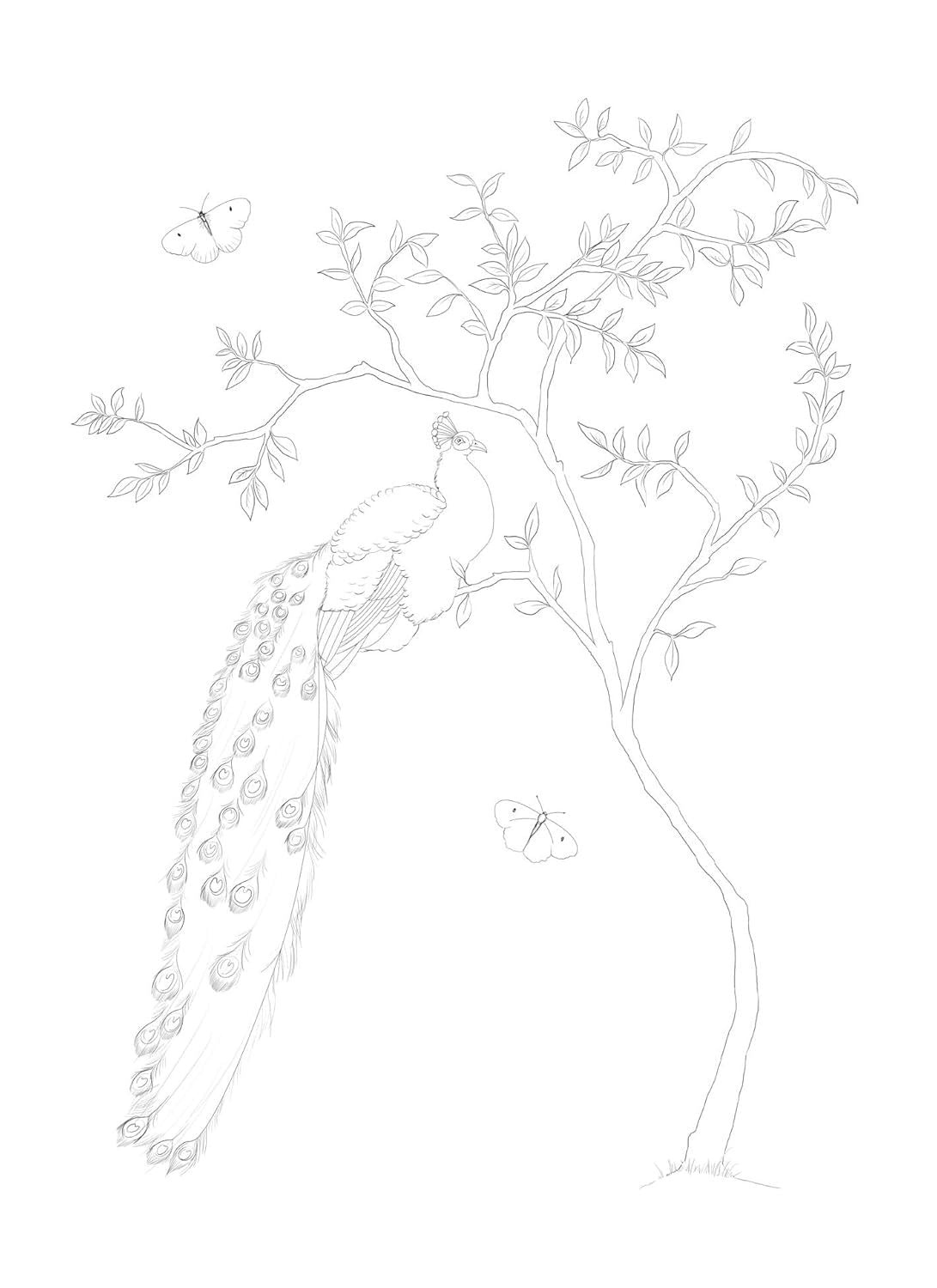Paint Your Own Botanical Postcards