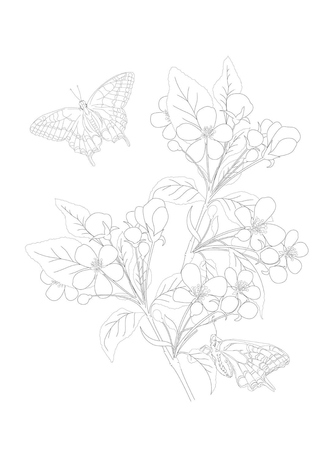 Paint Your Own Botanical Postcards