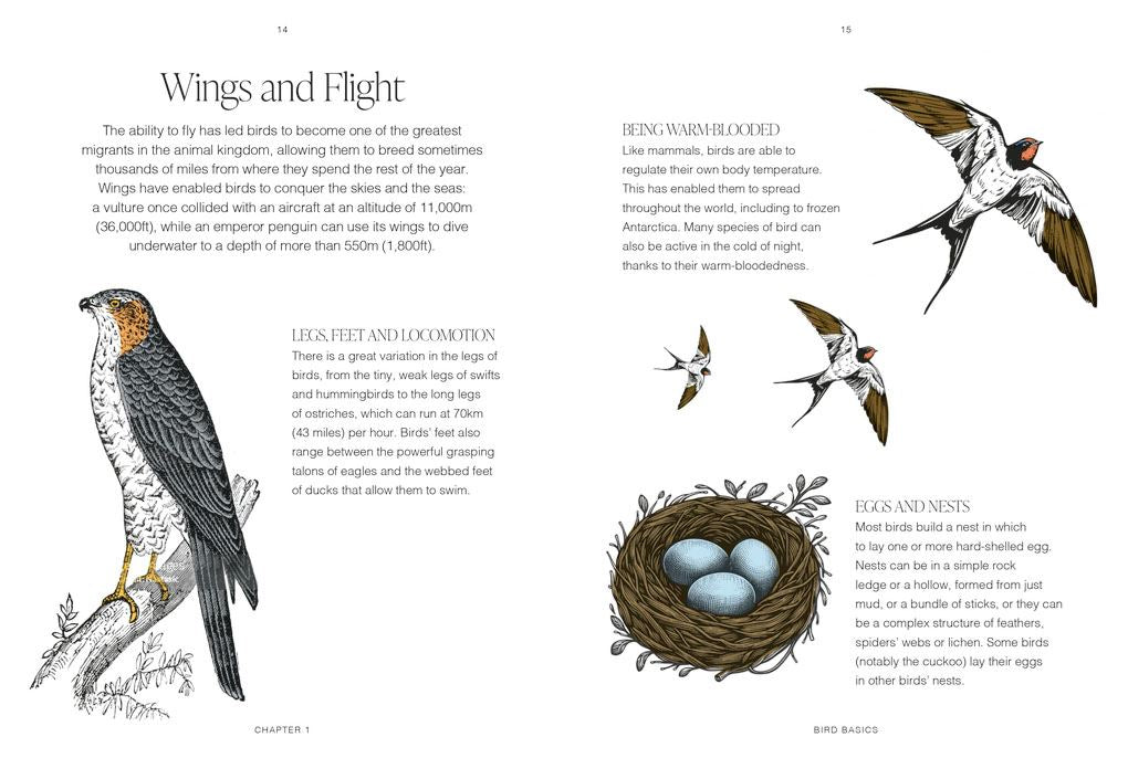 Garden Birds: A Pocket Guide (RHS)