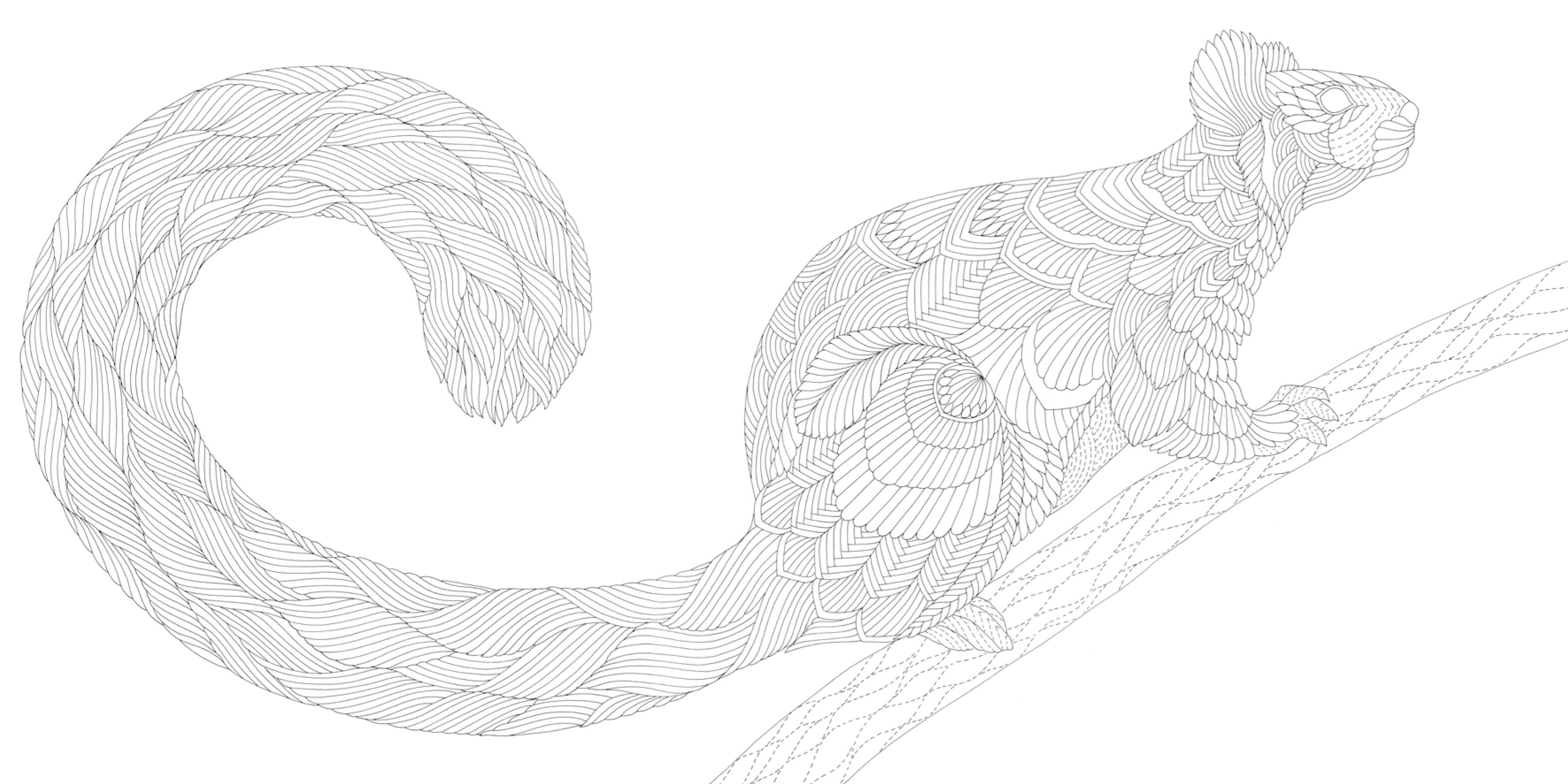 Woodland Wild Pocket Colouring Book