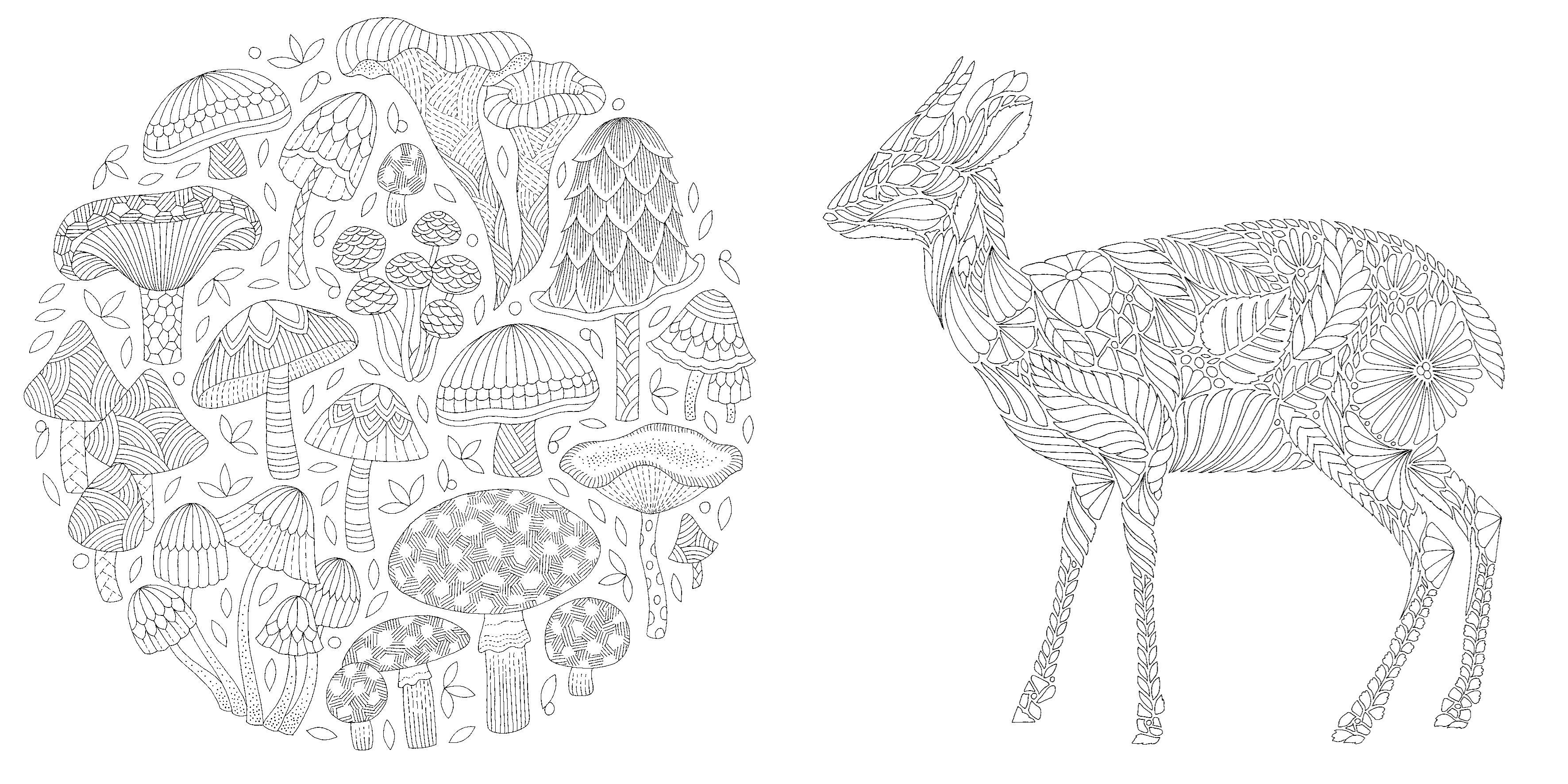 Woodland Wild Pocket Colouring Book