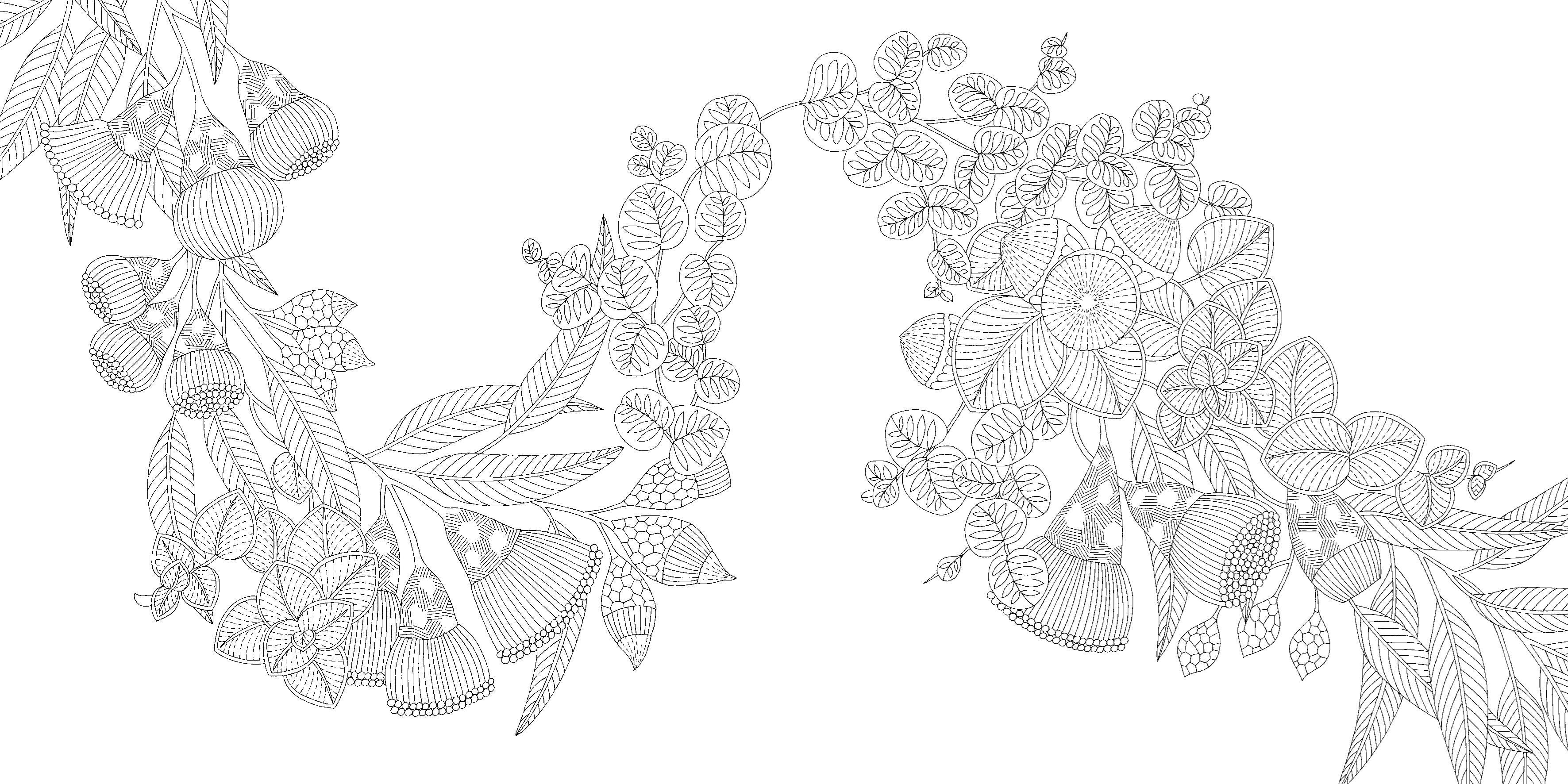 Woodland Wild Pocket Colouring Book