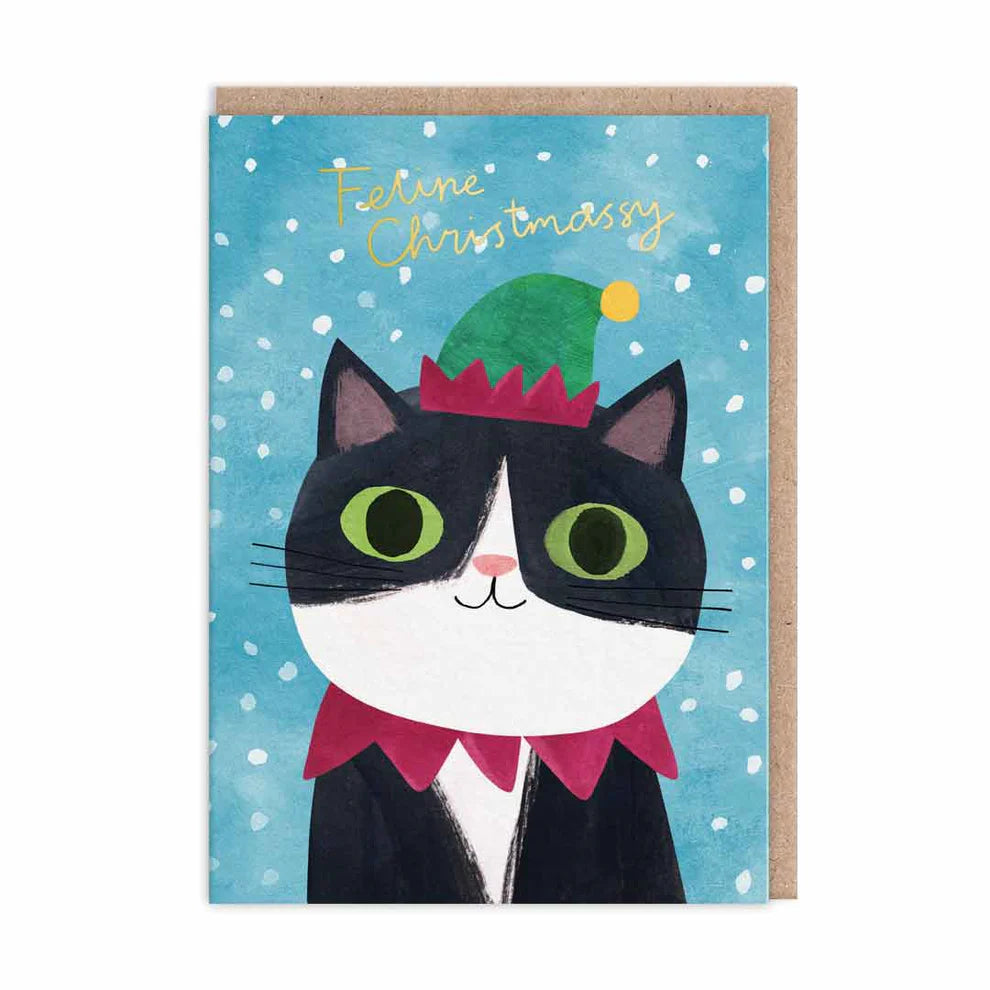 Pack Of 9 Cats In Hats Christmas Cards