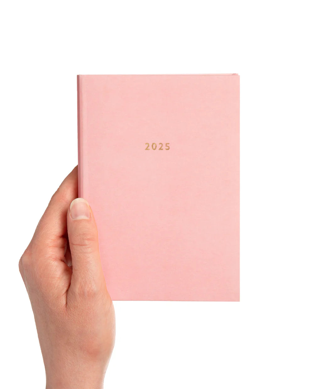 Blossom Pink 2025 Diary