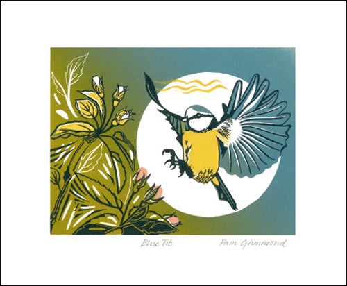Blue Tit Blank Card