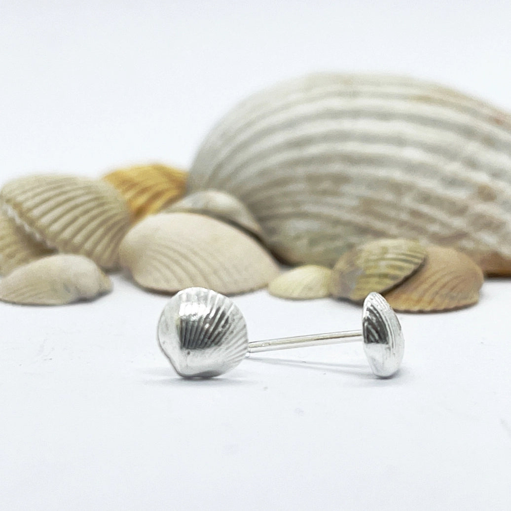 Silver Cockle Shell Earrings