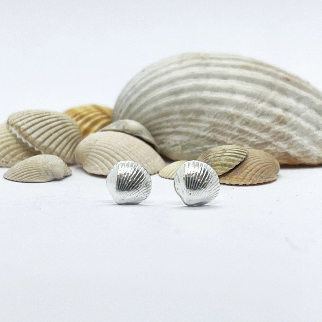 Silver Cockle Shell Earrings