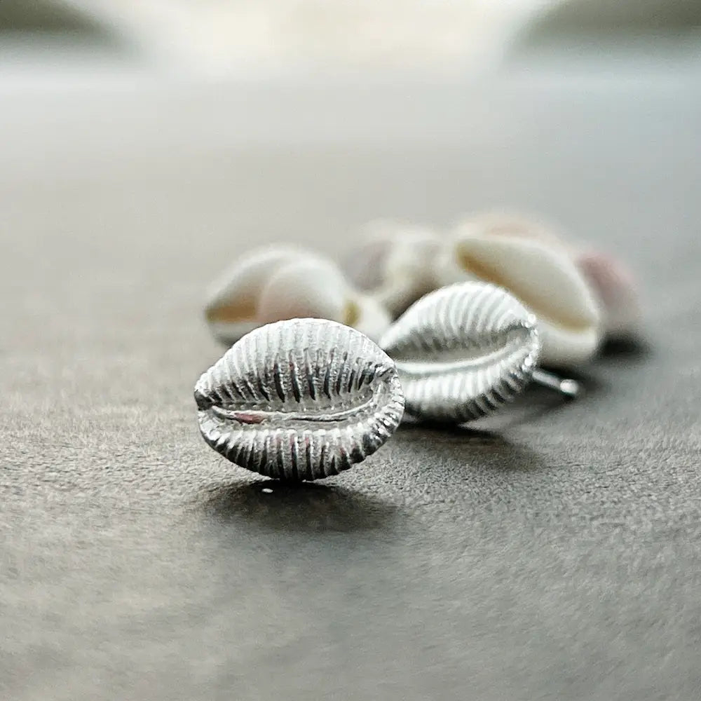 Silver Cowrie Shell Earrings