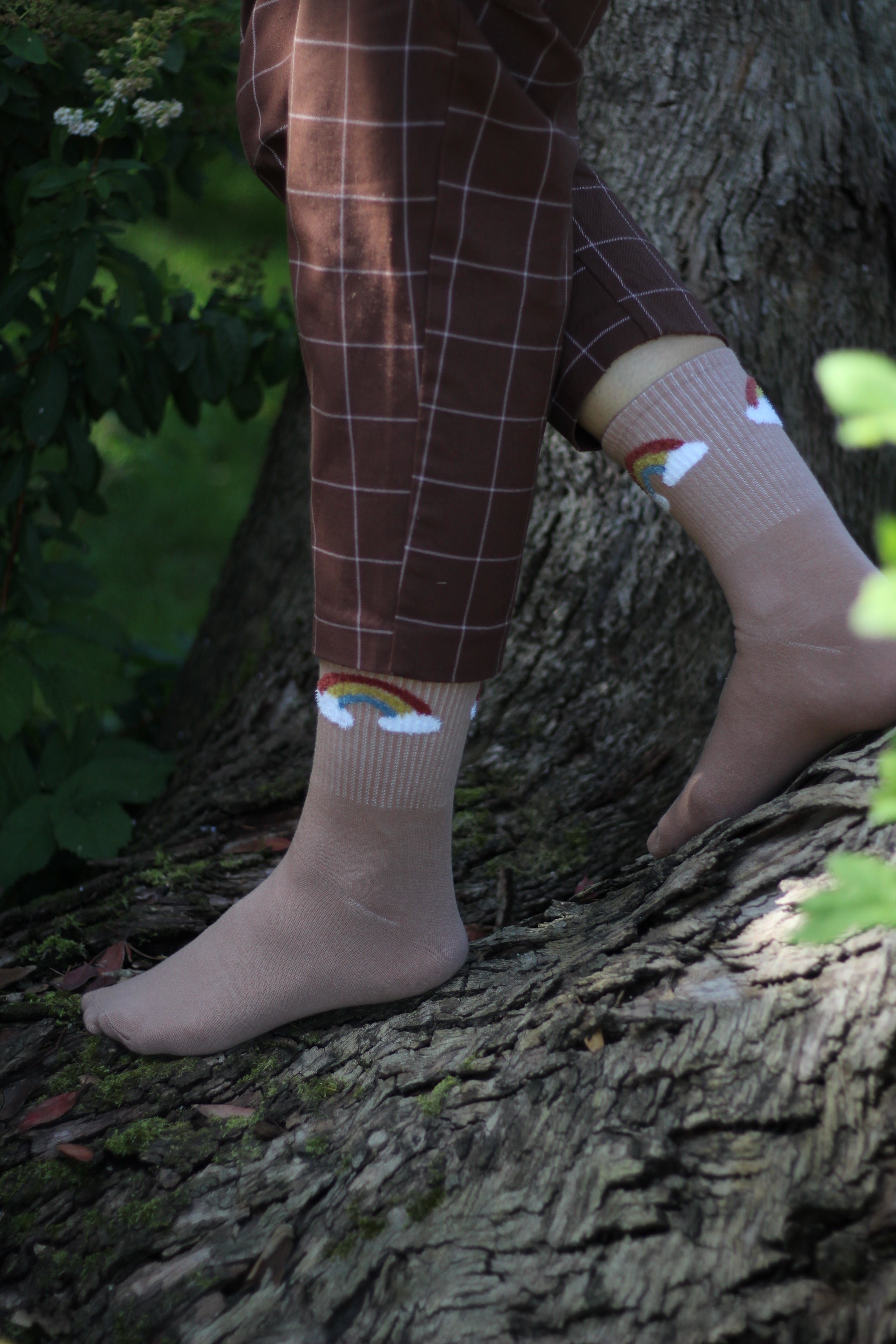 Person wearing taupe socks with rainbows standing on a tree