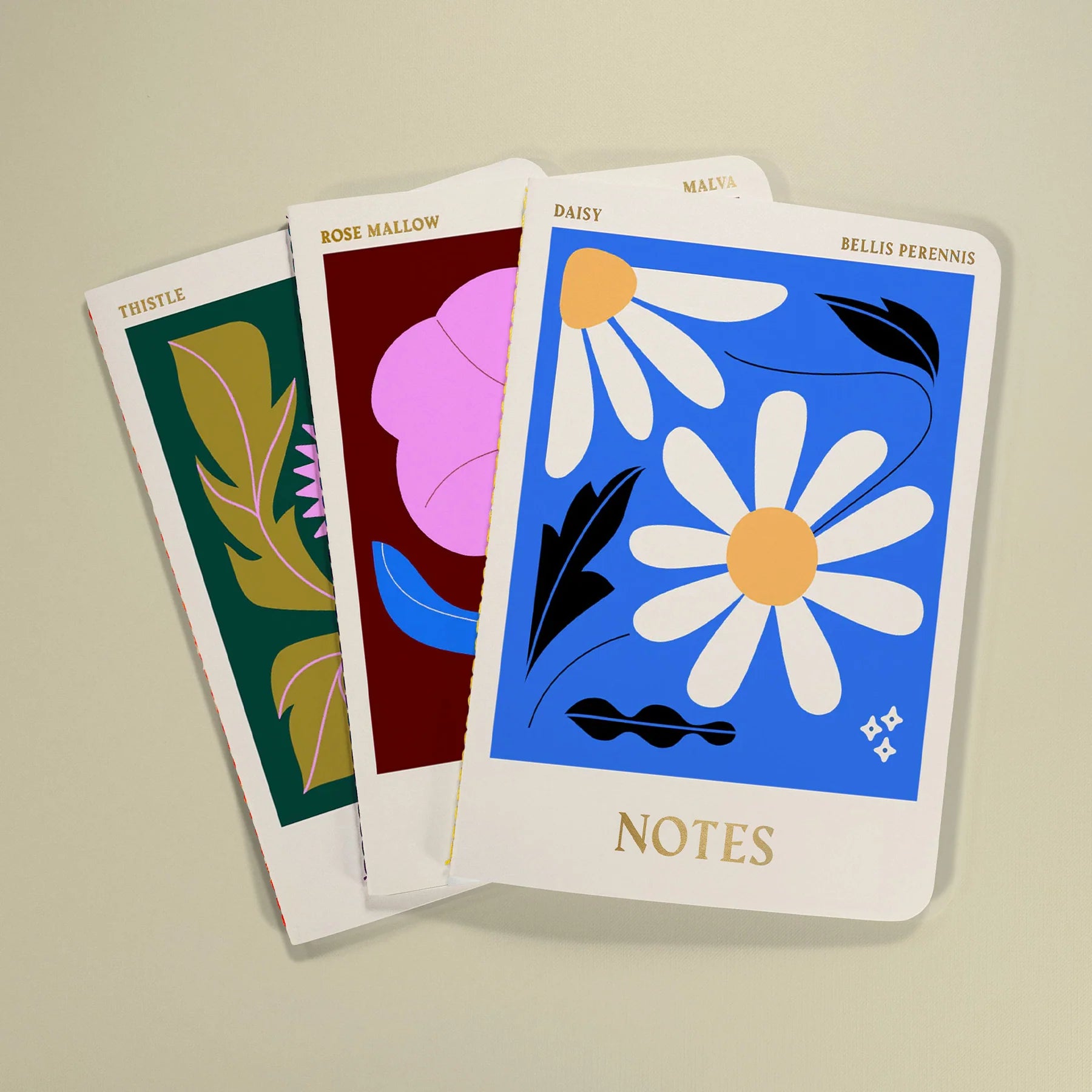 Set Of 3 Columbia Road Notebooks