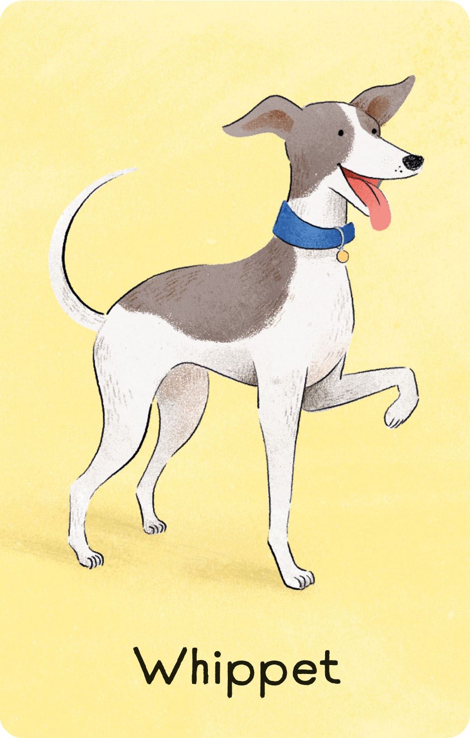 Dog Snap