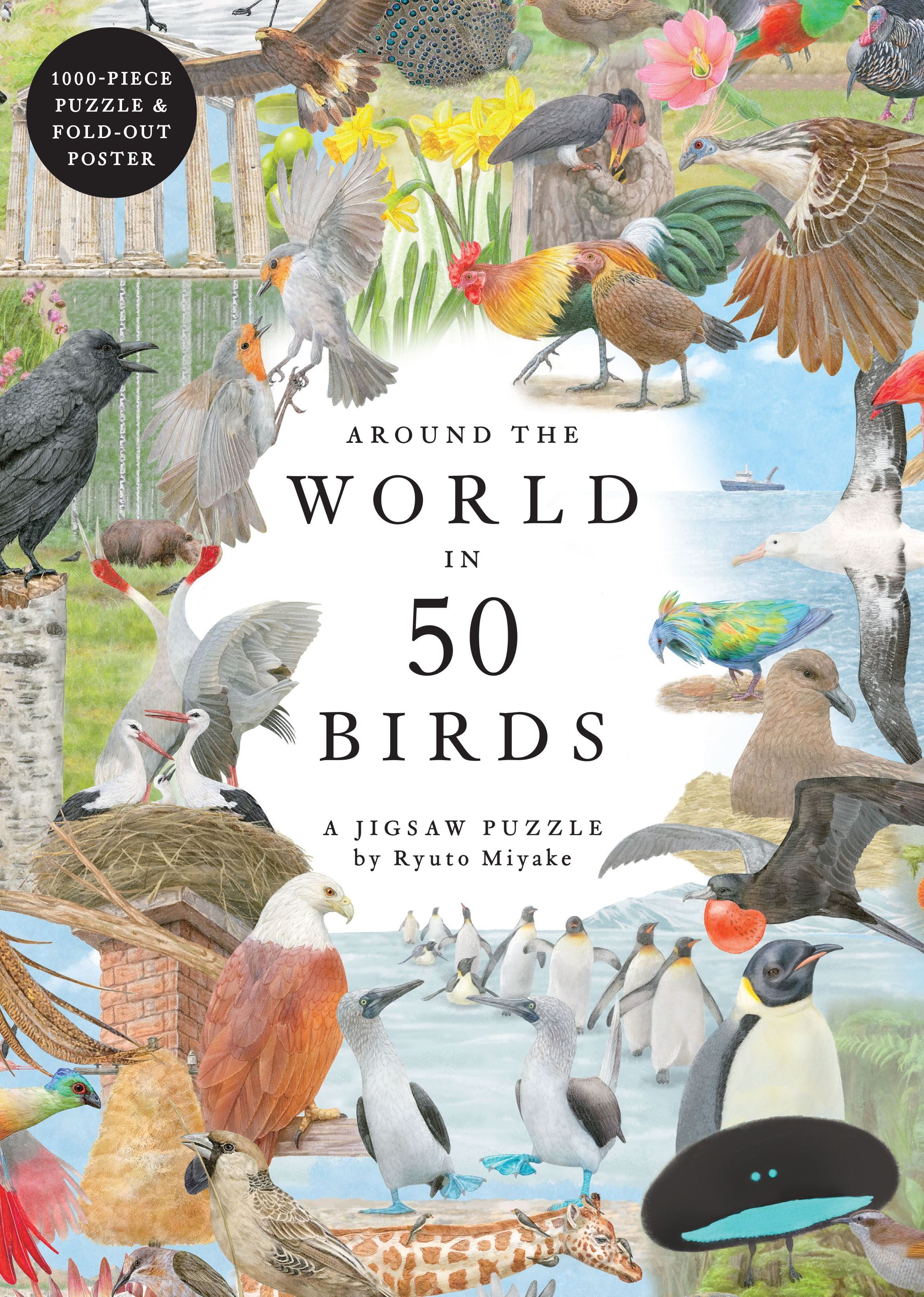 Around The World In 50 Birds : 1000 Piece Jigsaw Puzzle