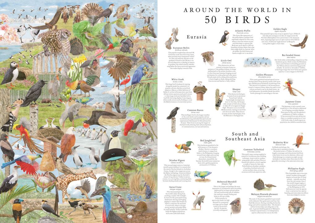 Around The World In 50 Birds : 1000 Piece Jigsaw Puzzle