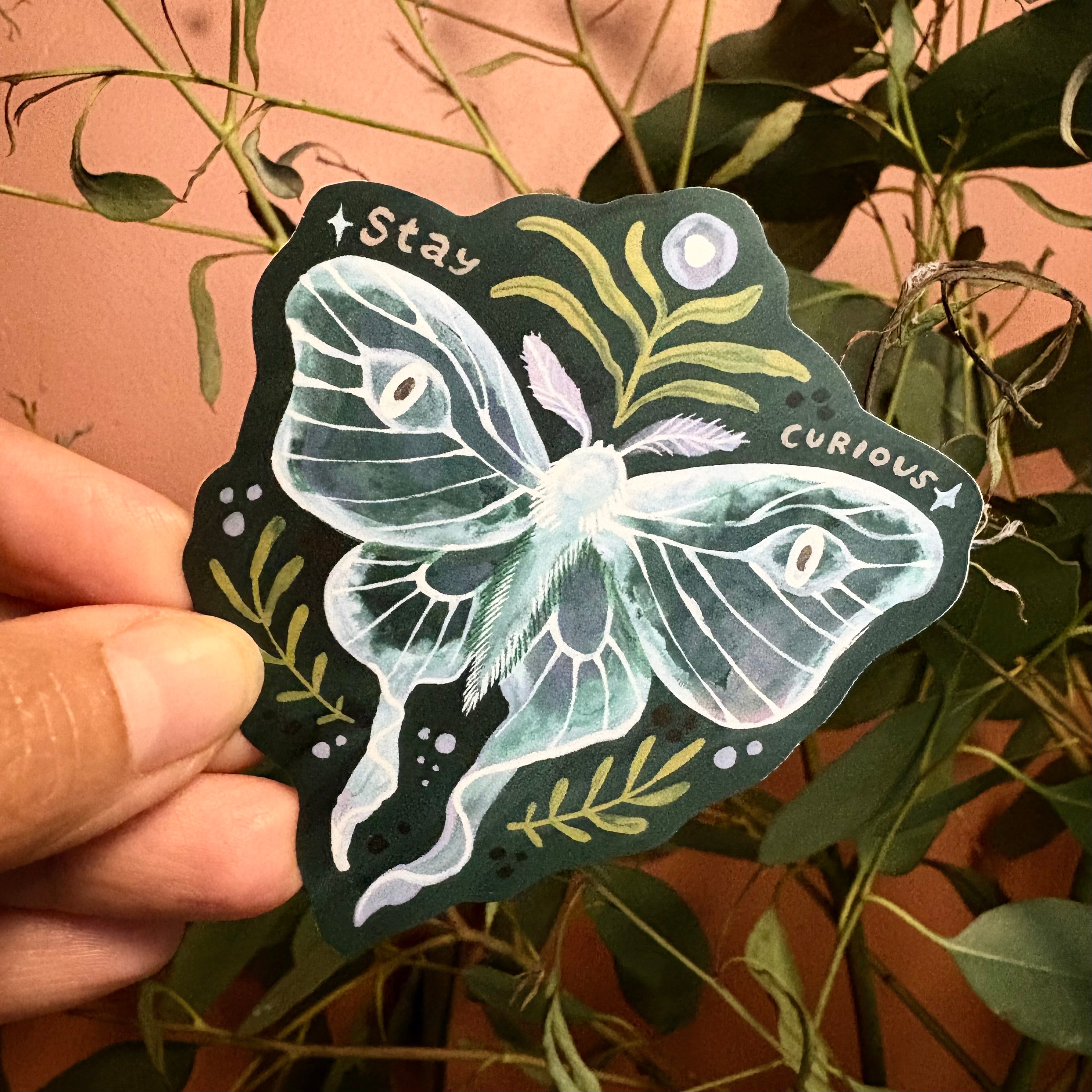 Stay Curious Moth Vinyl Moth