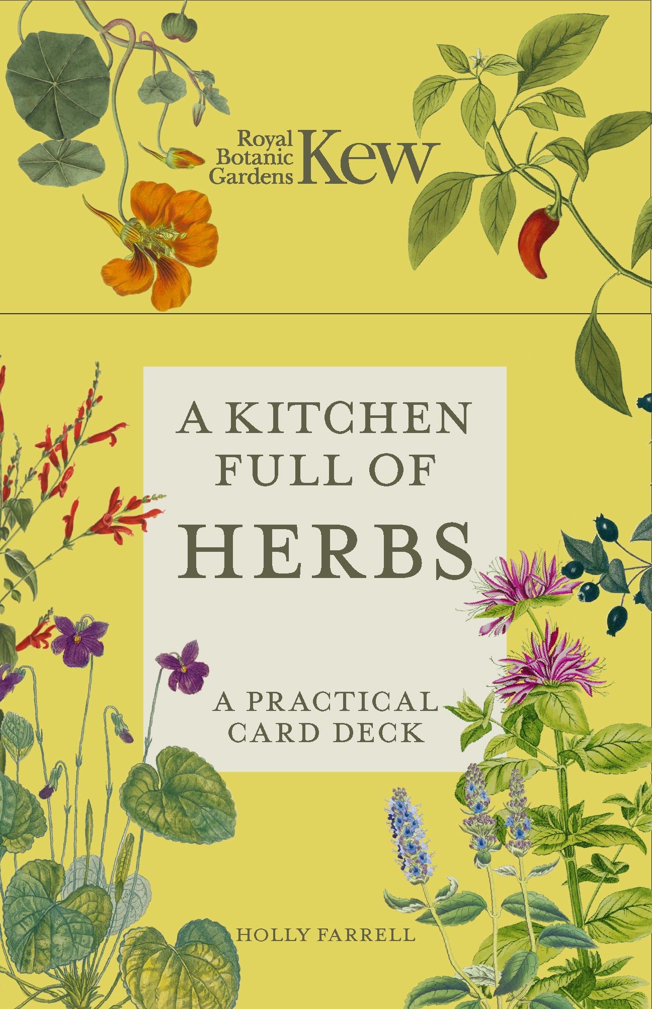 Kitchen Full Of Herbs Card Deck