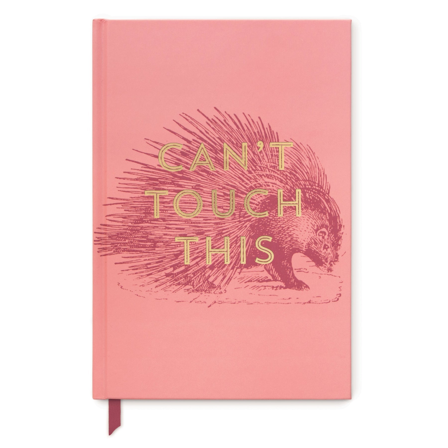 Can't Touch This Porcupine Notebook