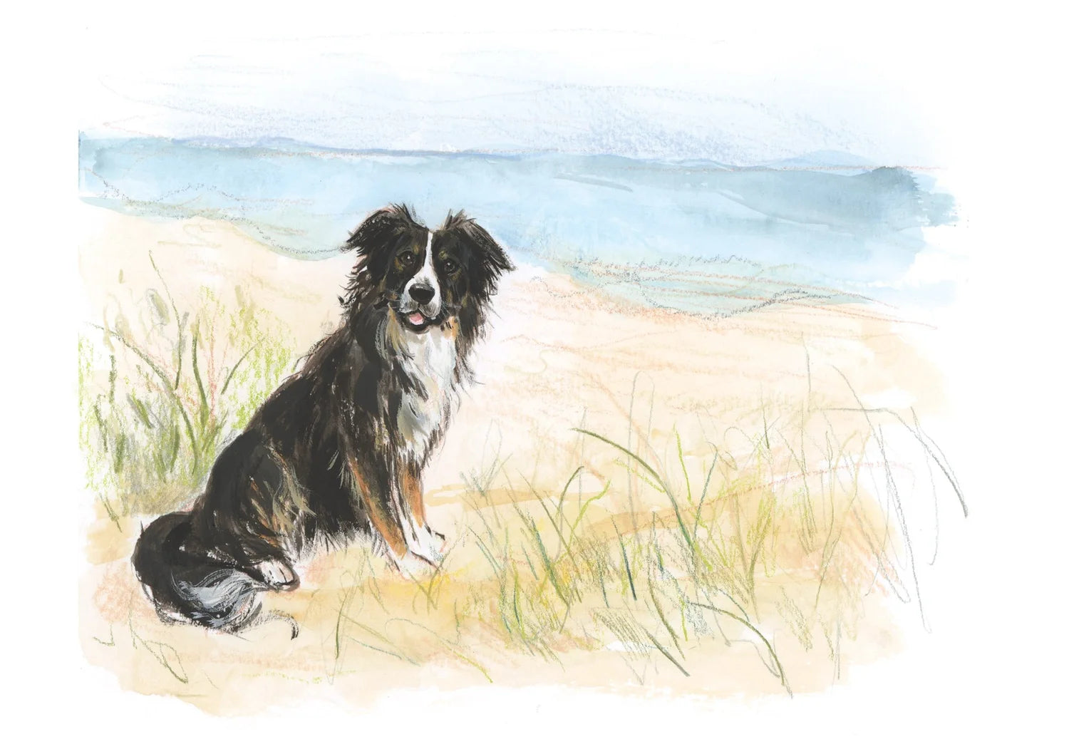 Adventure Dogs 2026 Calendar